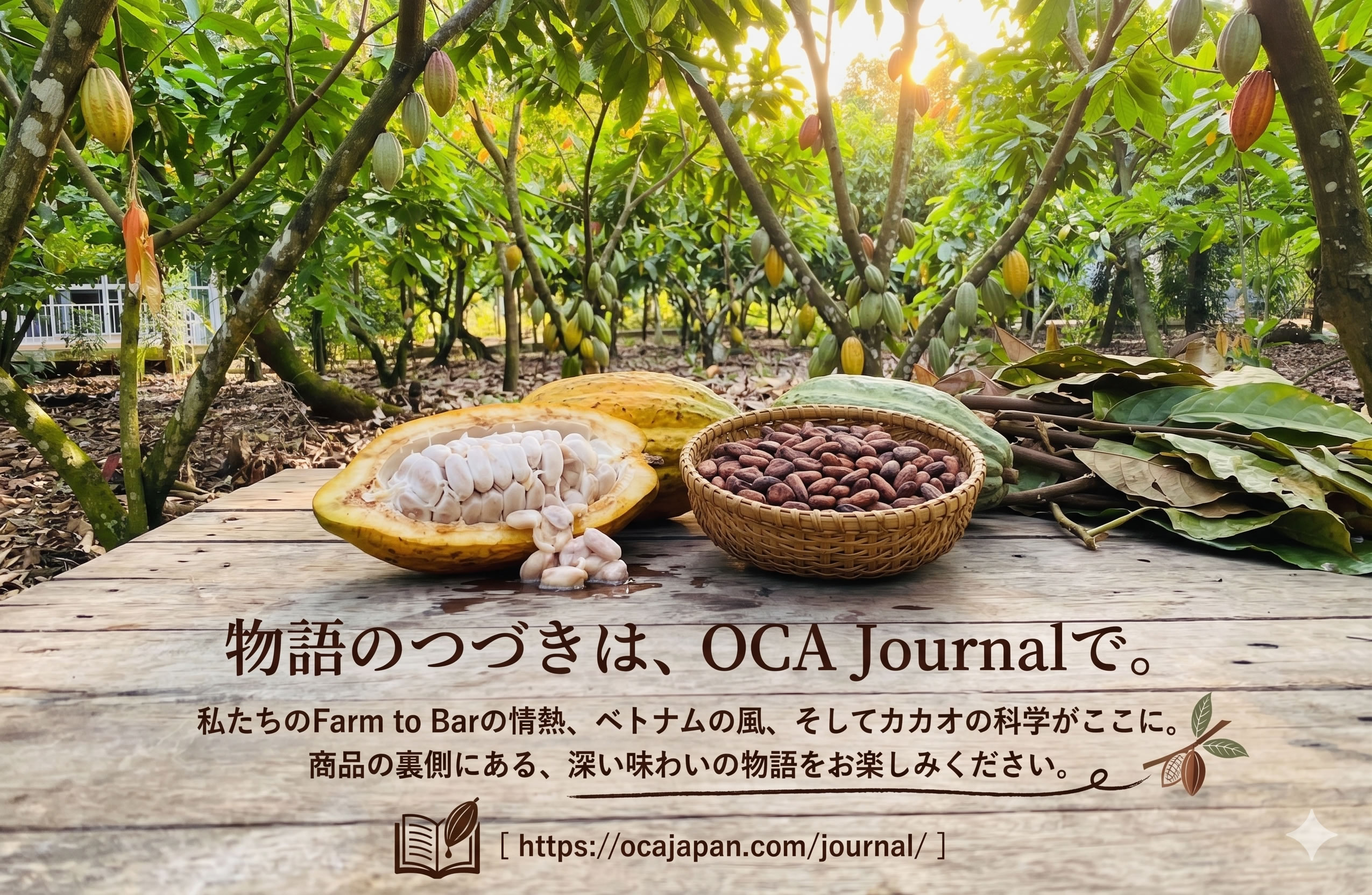 このチョコレートができるまで。物語のつづきは「OCA Journal」で。