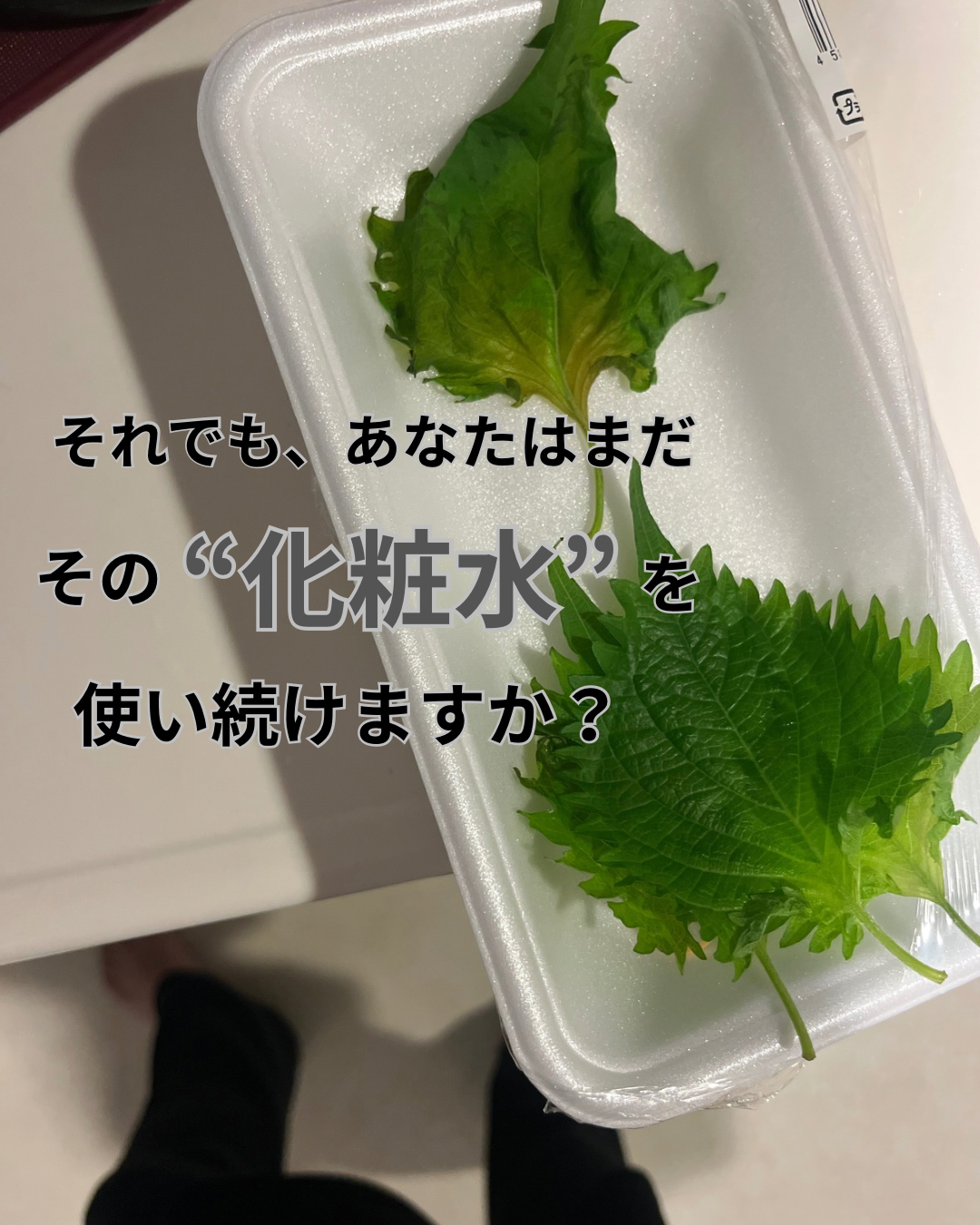 老化するか、若返るか。