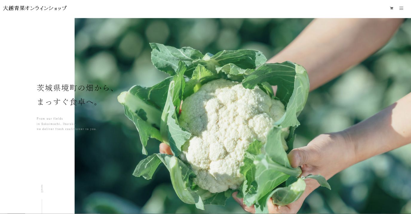 オンラインショップを公開しました