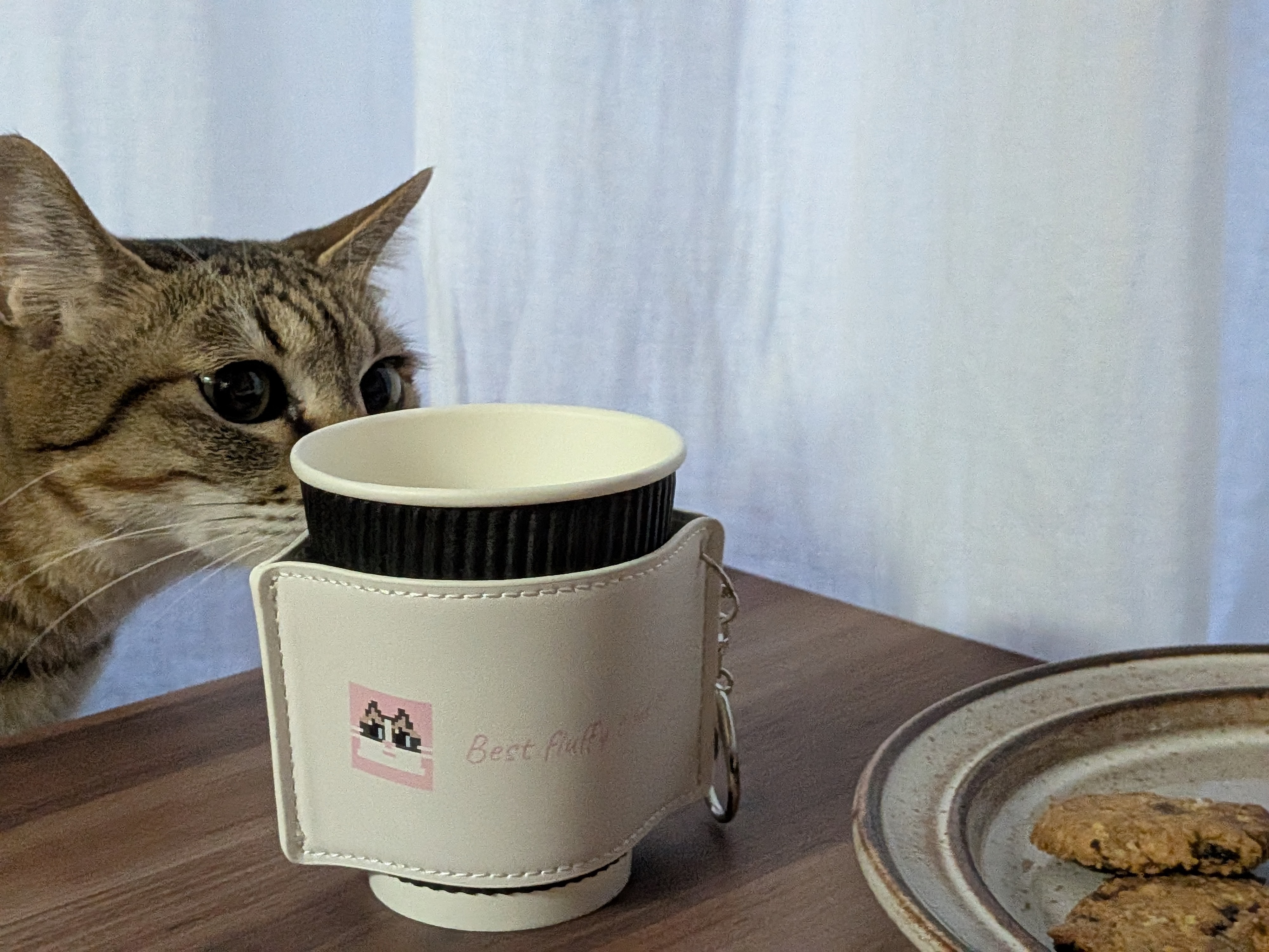 🐱撮影裏話🐱 厳しいチェック入りました😂&期間限定SALE!