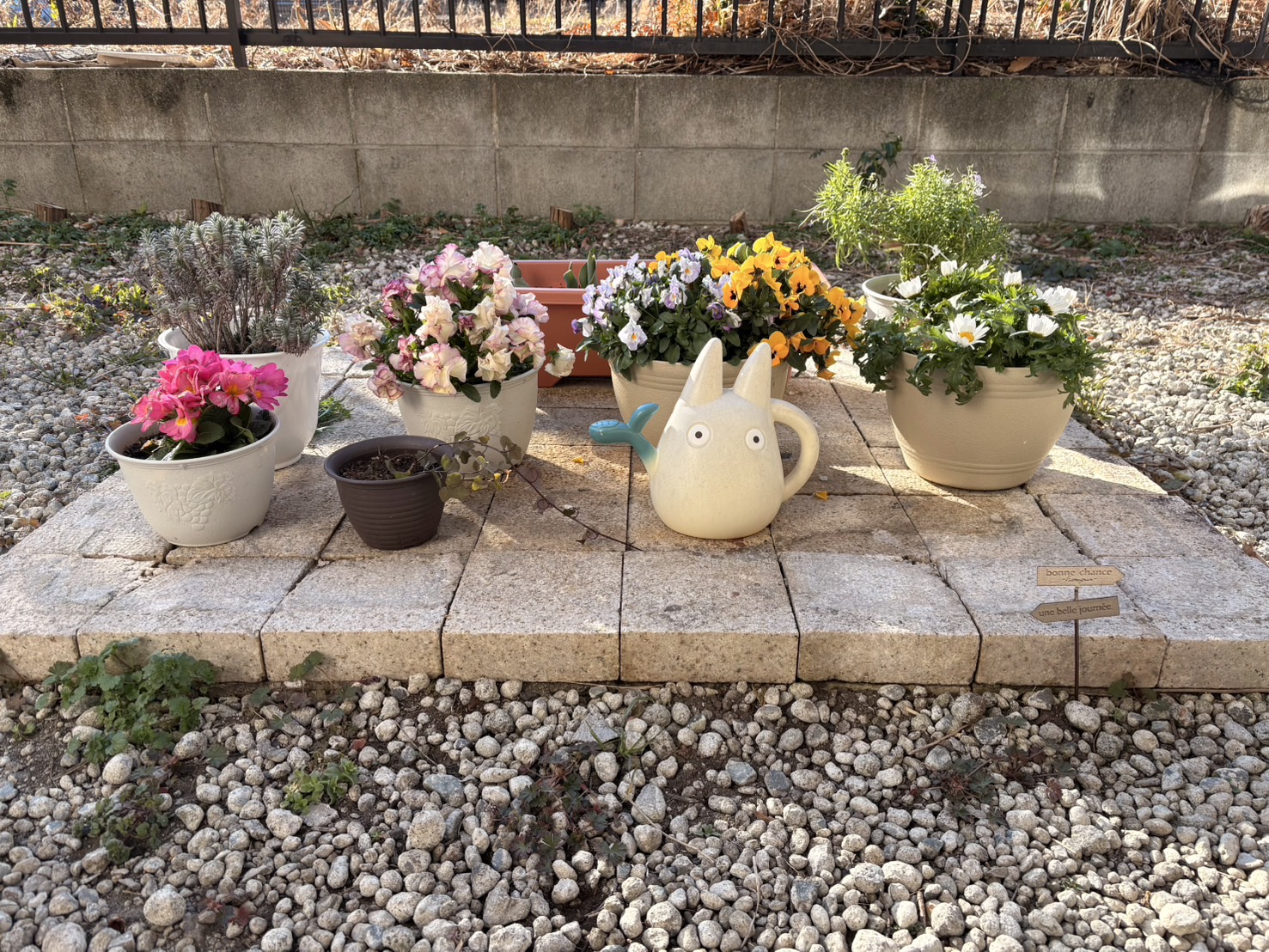 お久しぶりです