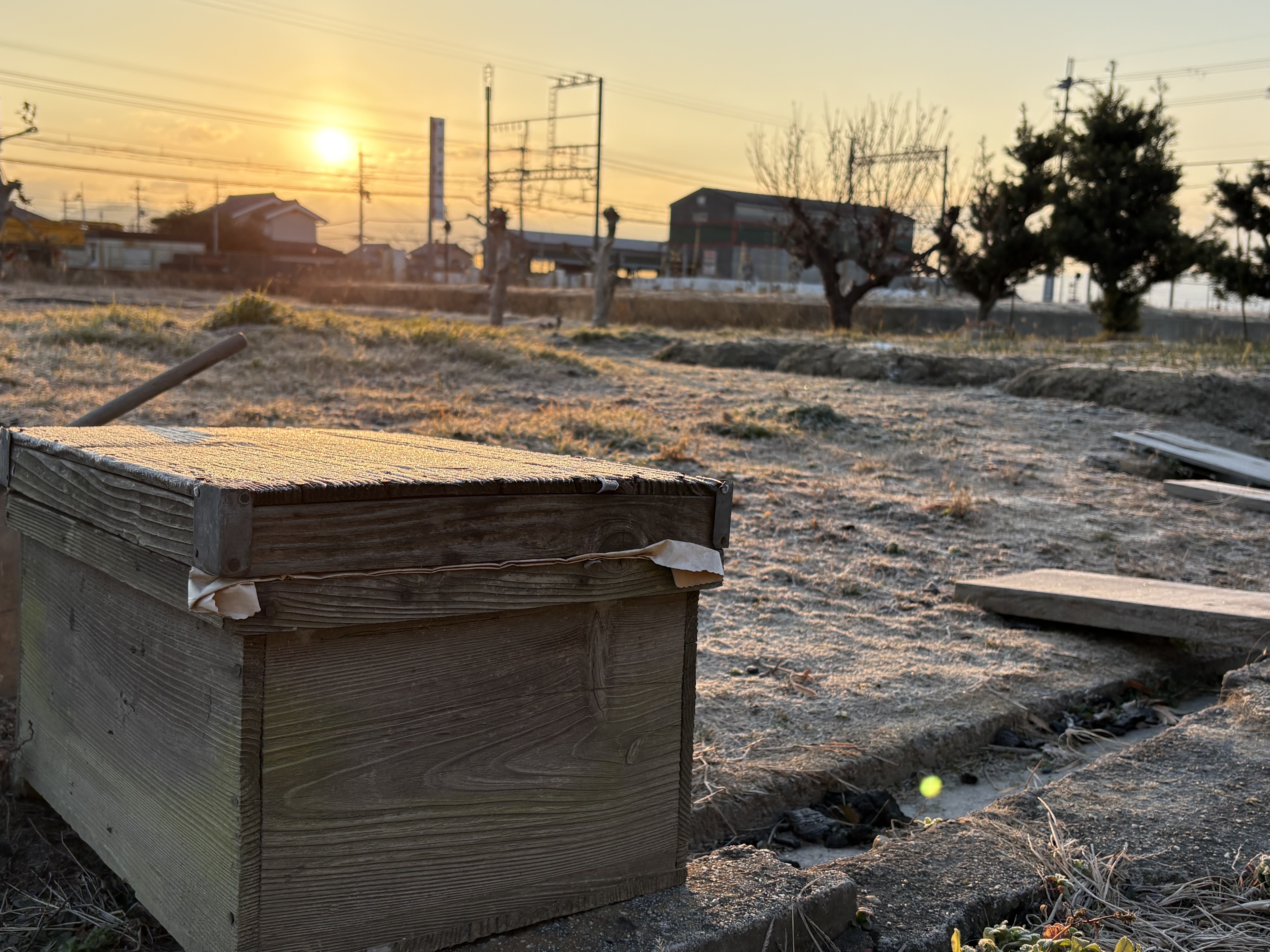 霜の降りる寒い朝です　みつばちの巣箱