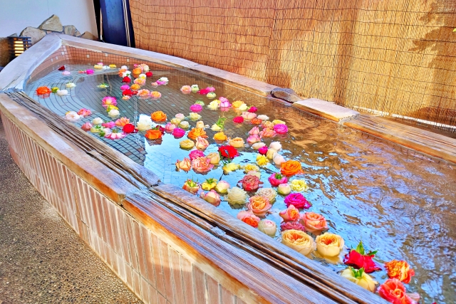 【おうちで極上のひととき】井上養蜂園のはちみつで叶える「クレオパトラ浴」のすすめ