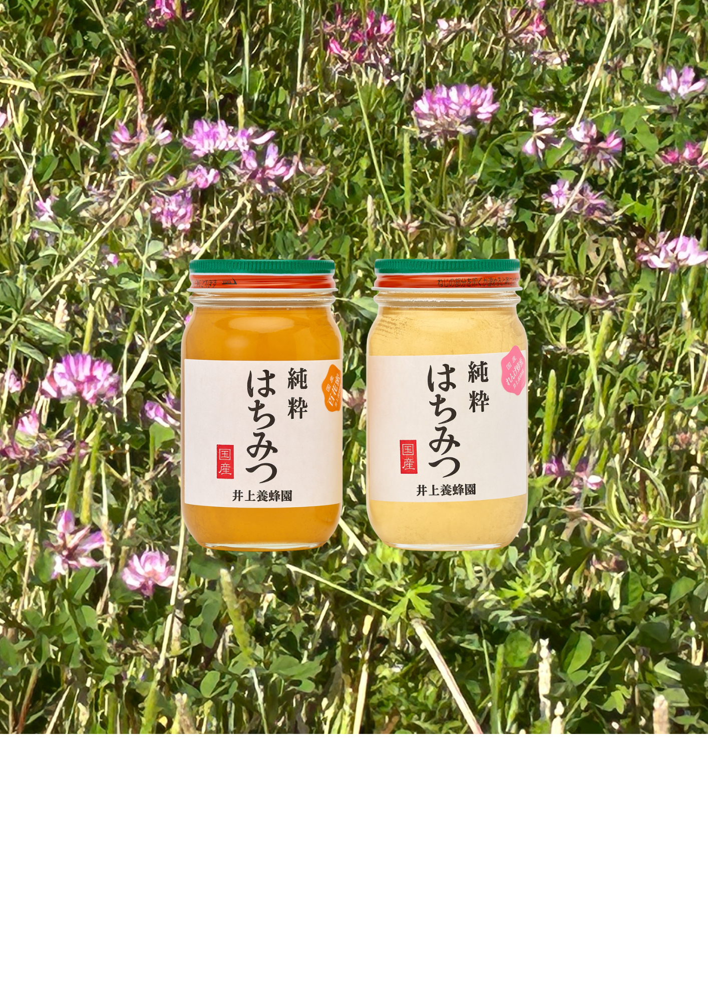 3月9日　懐かしくて優しい味のれんげはちみついかがでしょうか