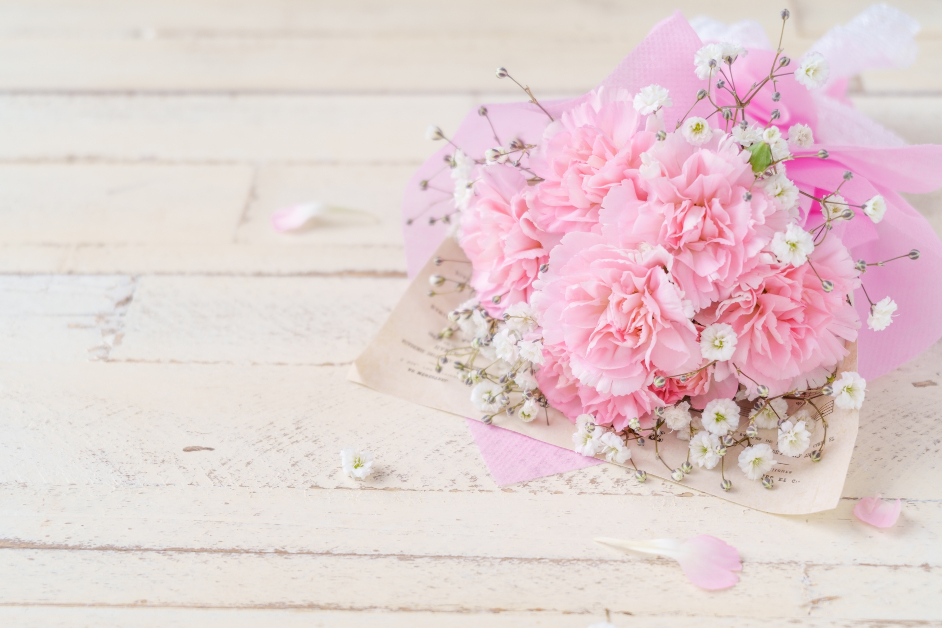 カーネーションの花言葉とは？色別の意味や母の日に贈られる理由を徹底解説