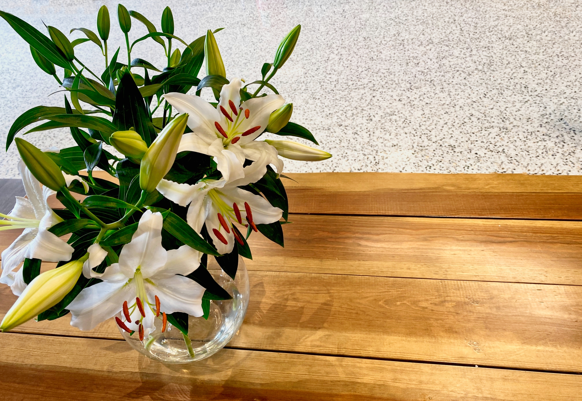 ユリ（百合）の花言葉とは？色別の意味や贈るシーン、おすすめのギフトを徹底解説