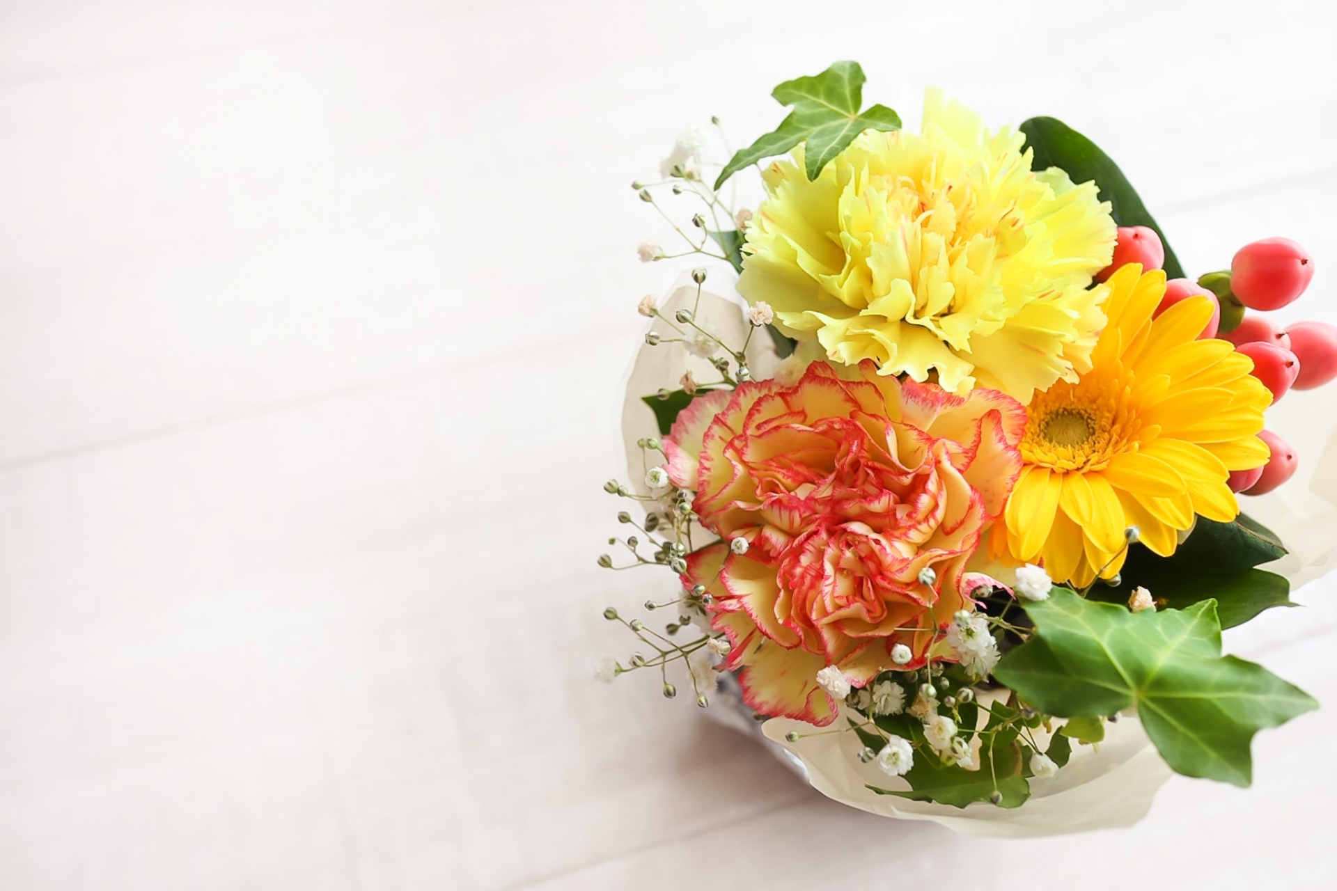 敬老の日に贈りたい花言葉一覧|感謝と長寿を願うおすすめの花