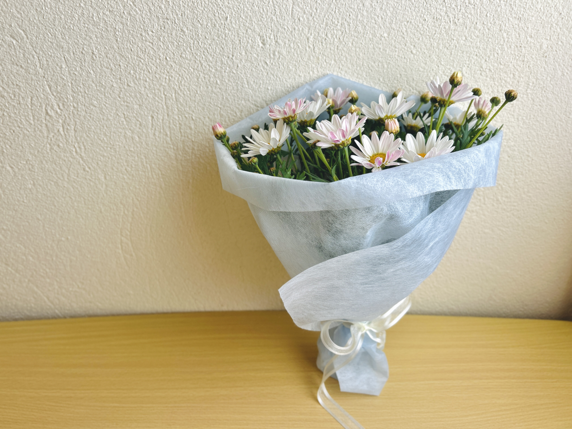 マーガレットの花言葉とは?色別の意味や由来、贈り物におすすめのシーンを解説