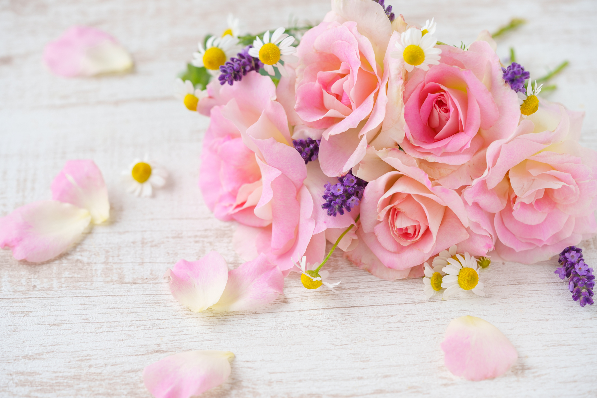 ピンクの花の花言葉一覧|愛情・感謝・幸福を伝える花を紹介