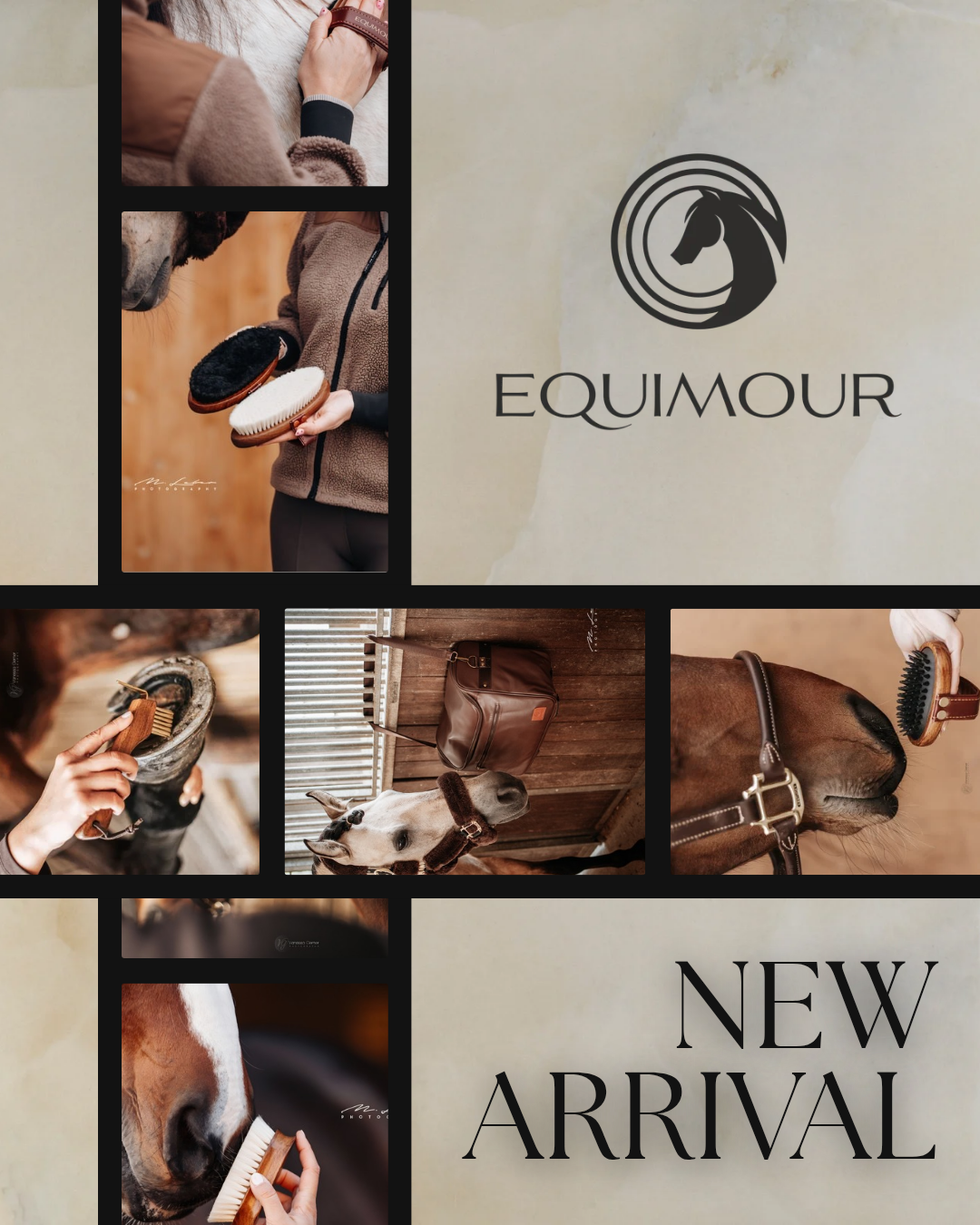 『Equimour』のご紹介