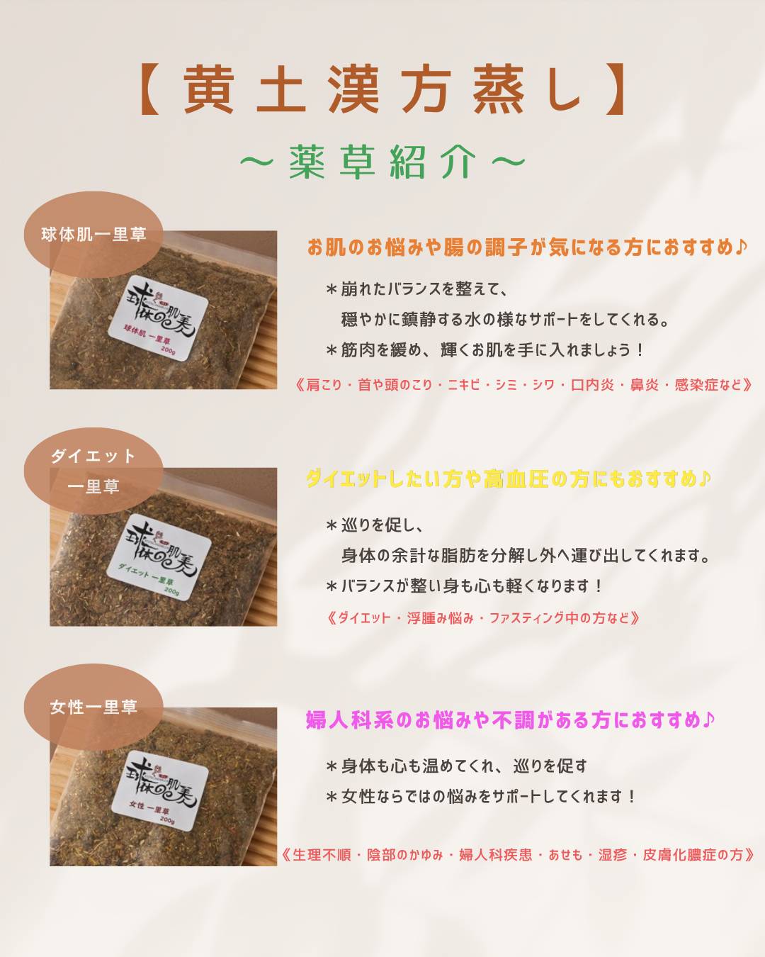 薬草について♪