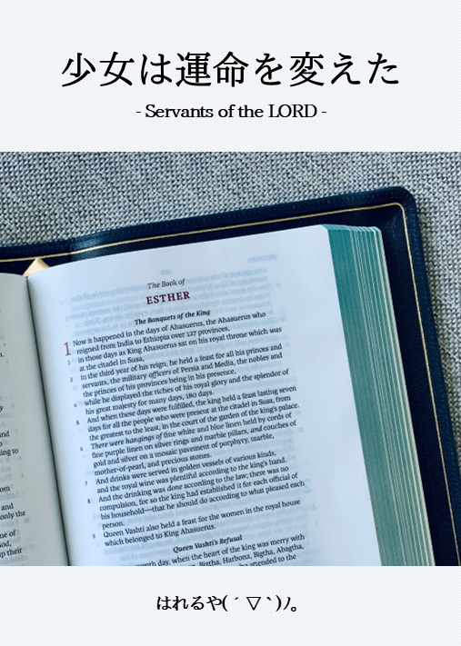 現在、商品はひとつだけです