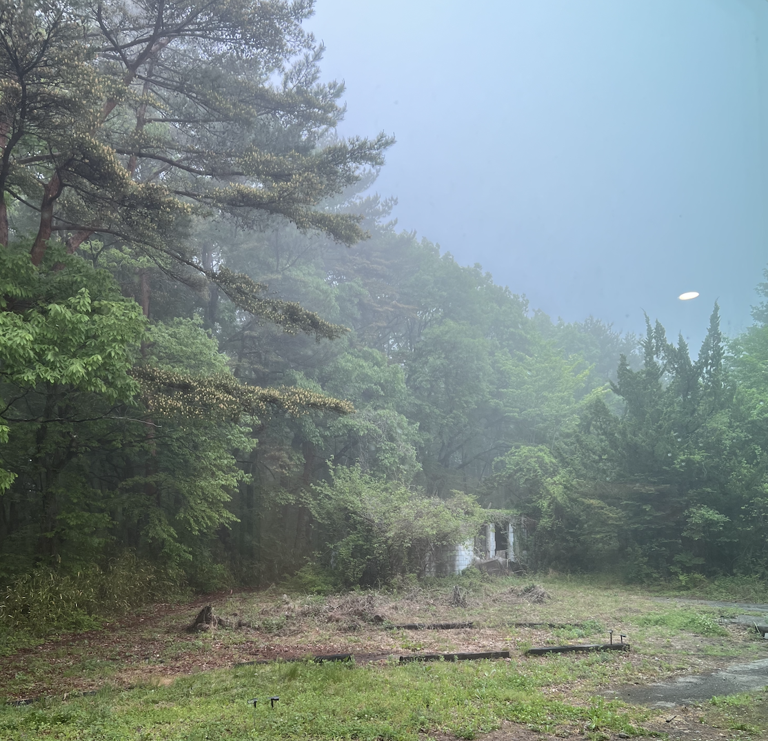 雨の日に、見えてくるもの