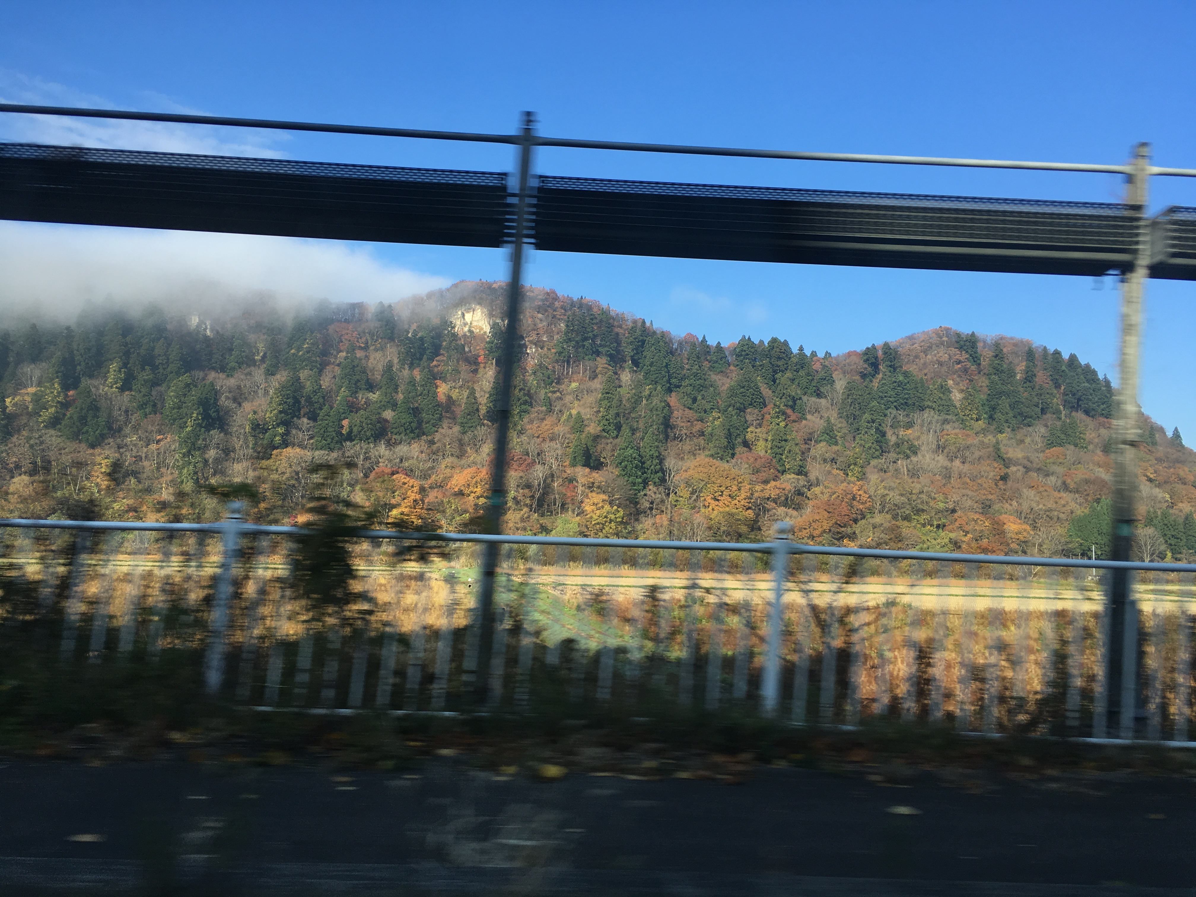 ウェブサイトを公開しました