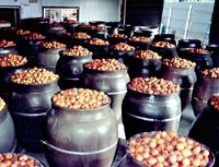 鹿児島産柿酢とは？