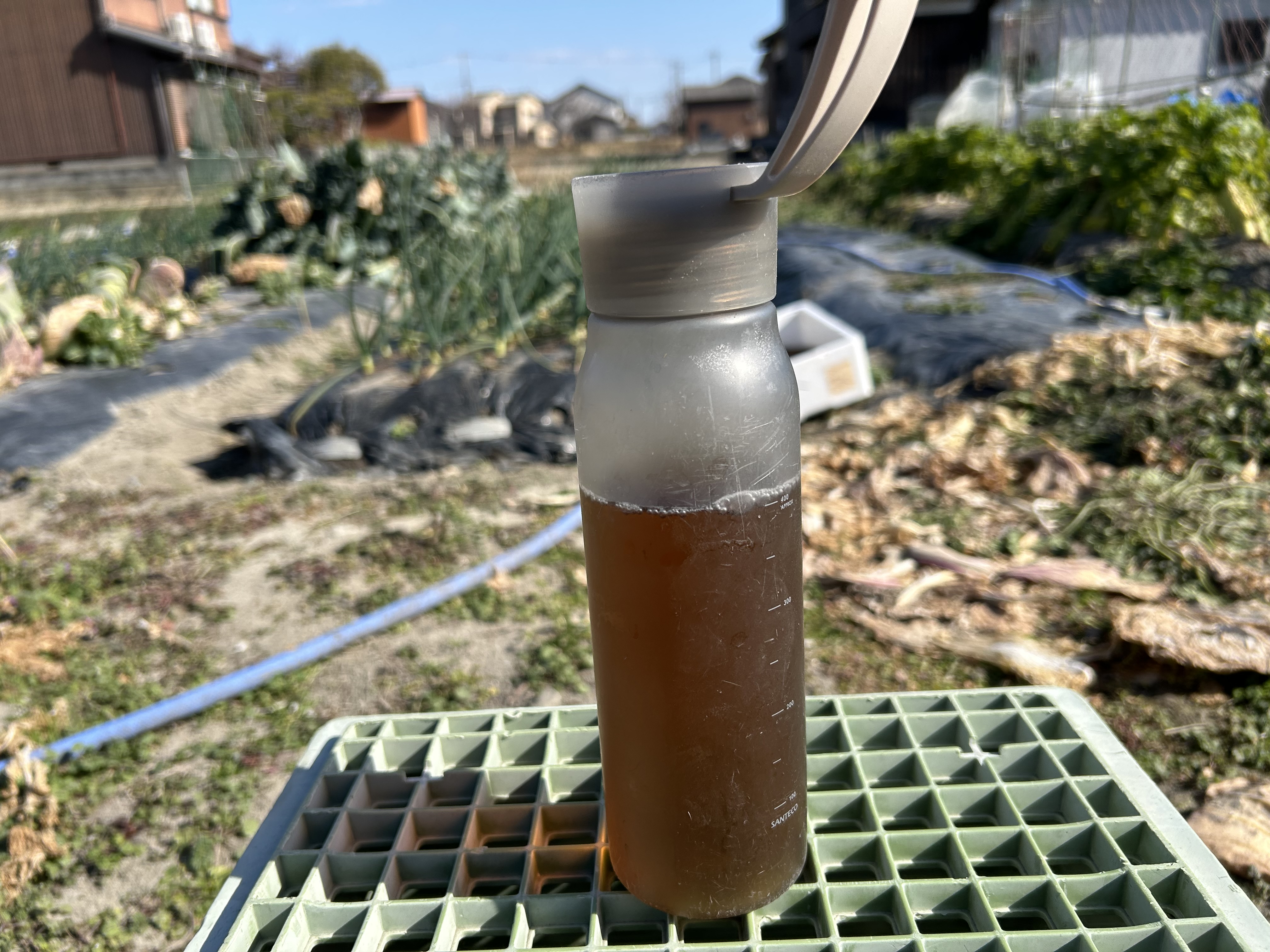 畑仕事や日常の水筒におすすめの健康茶