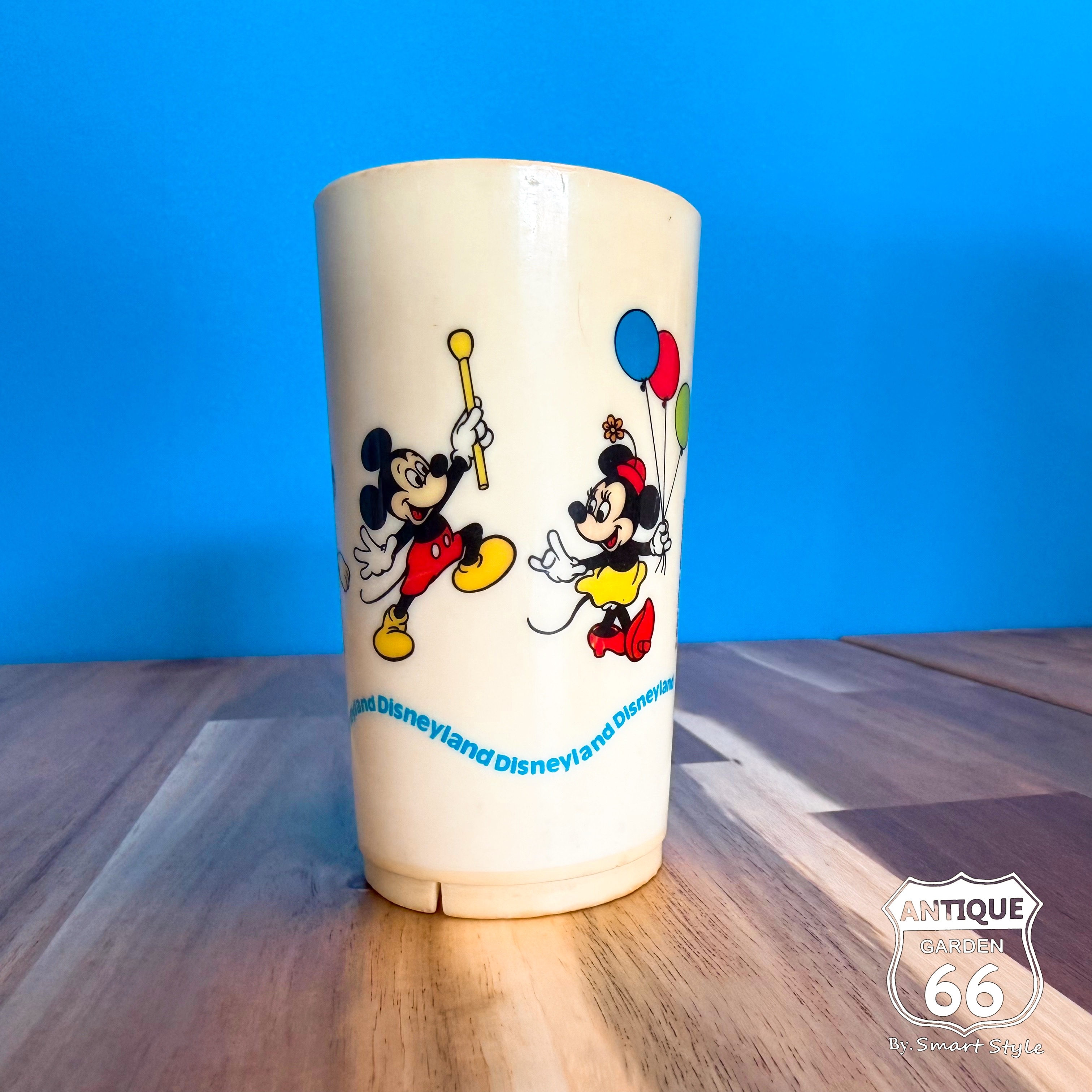 ⚫︎アメリカディズニーランドのvtgスーベニア