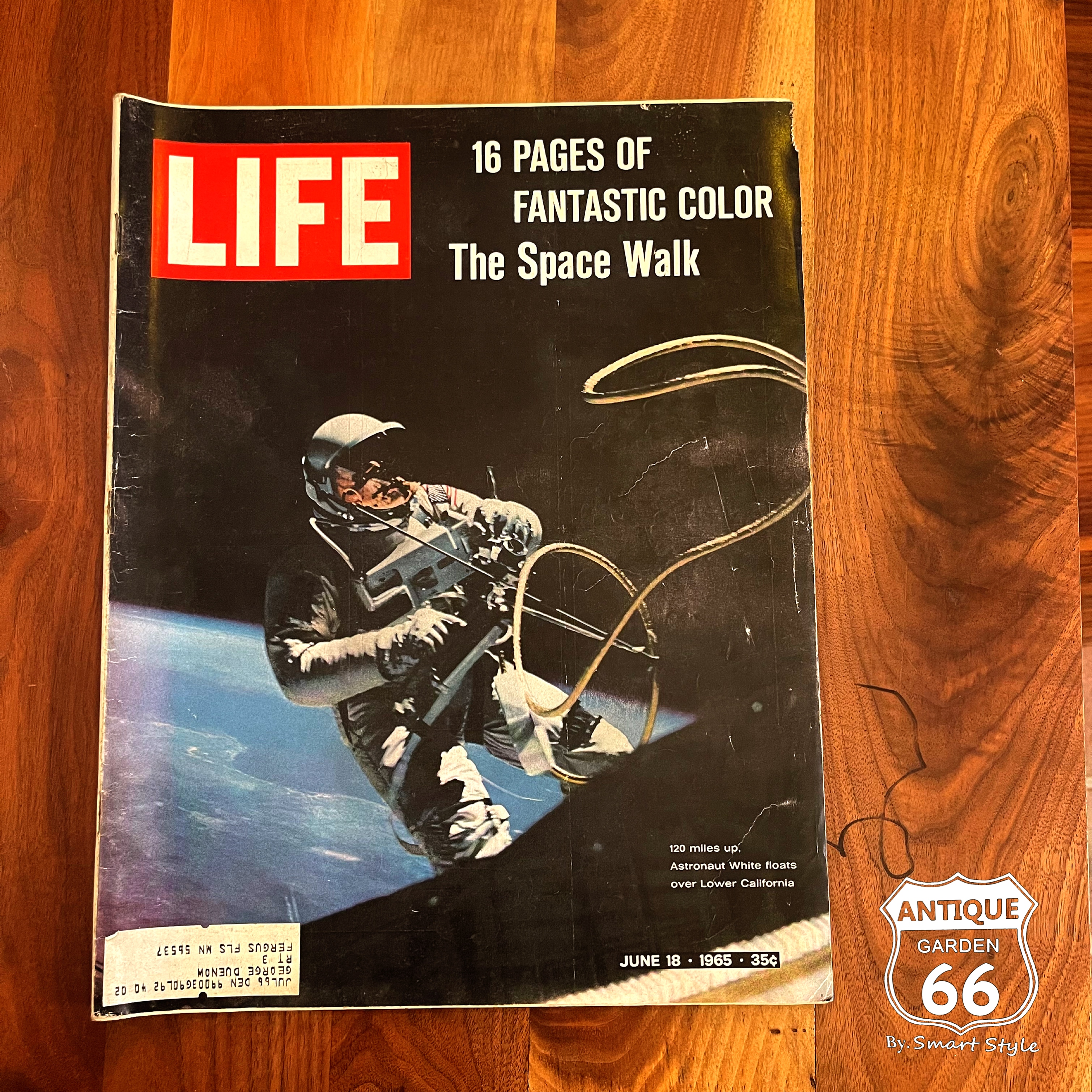 ●ヴィンテージLIFE 1965'宇宙遊泳！