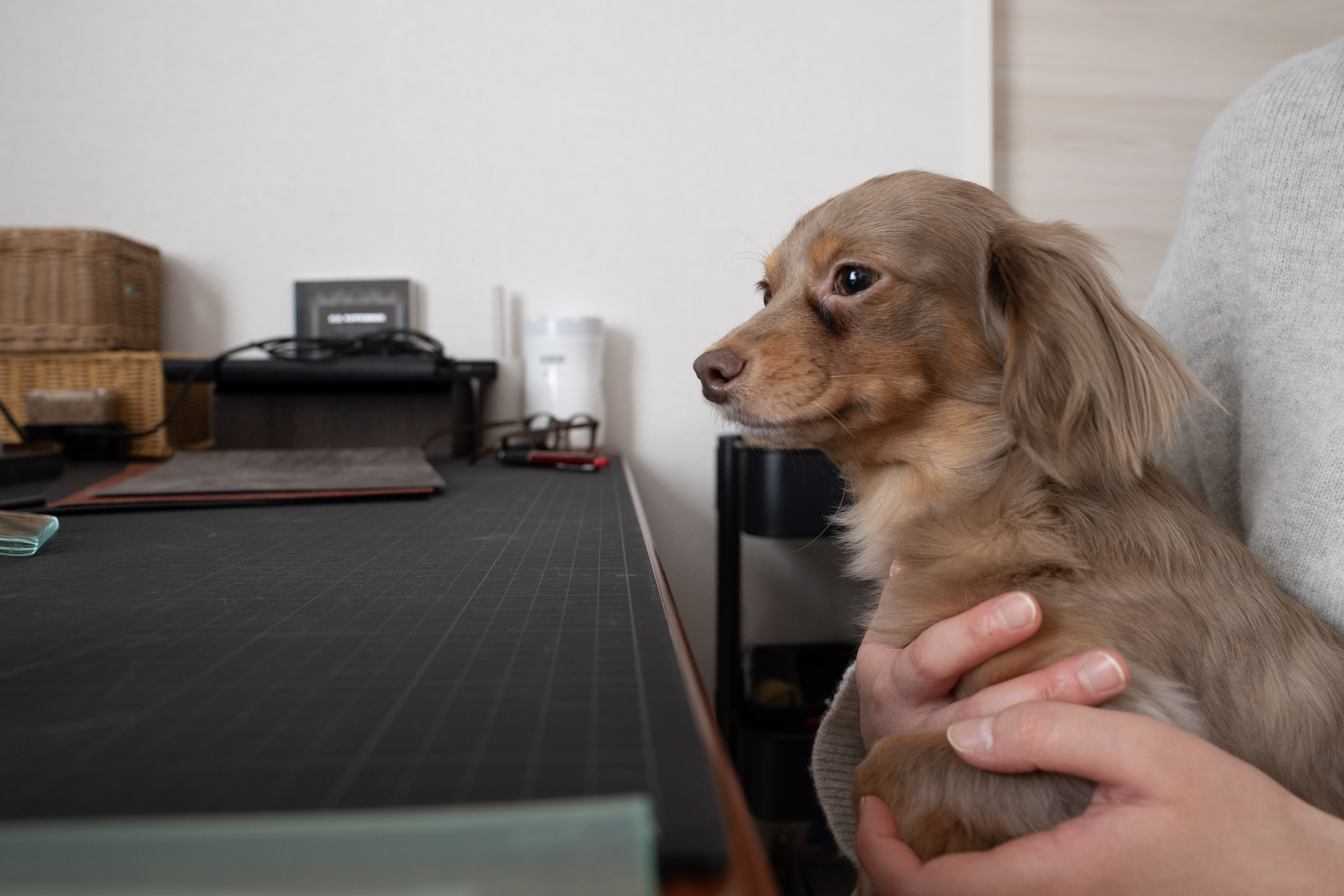 ついに明日から販売開始です!