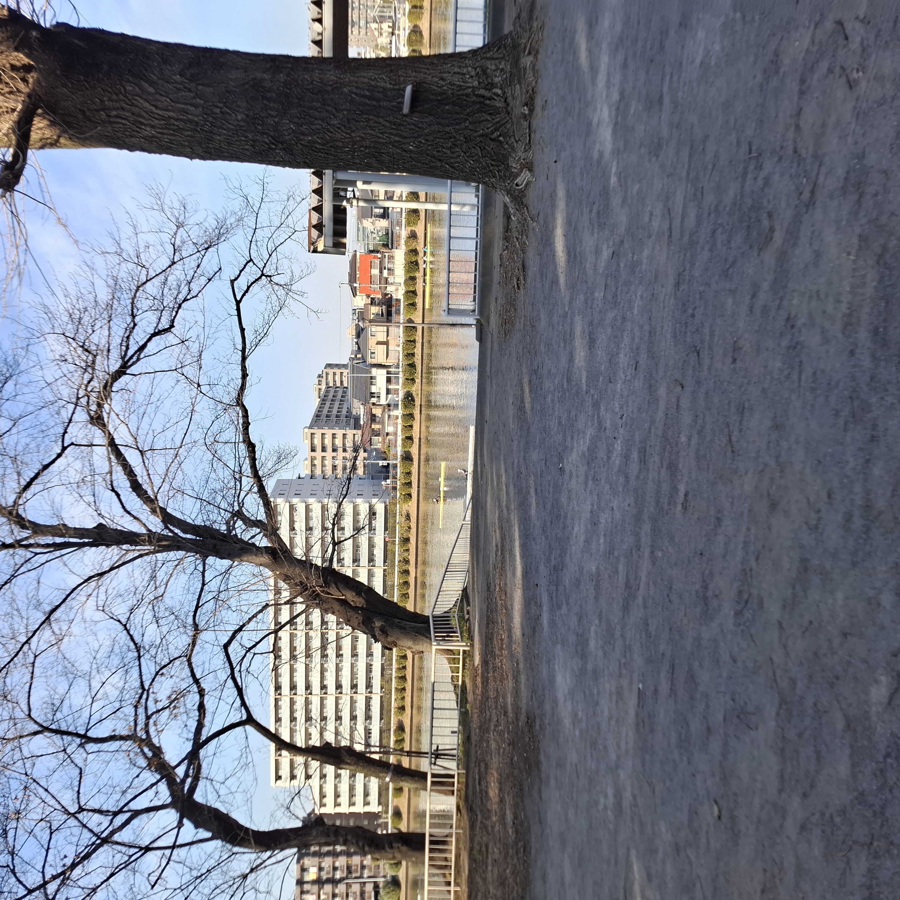 ぼーっとみてる