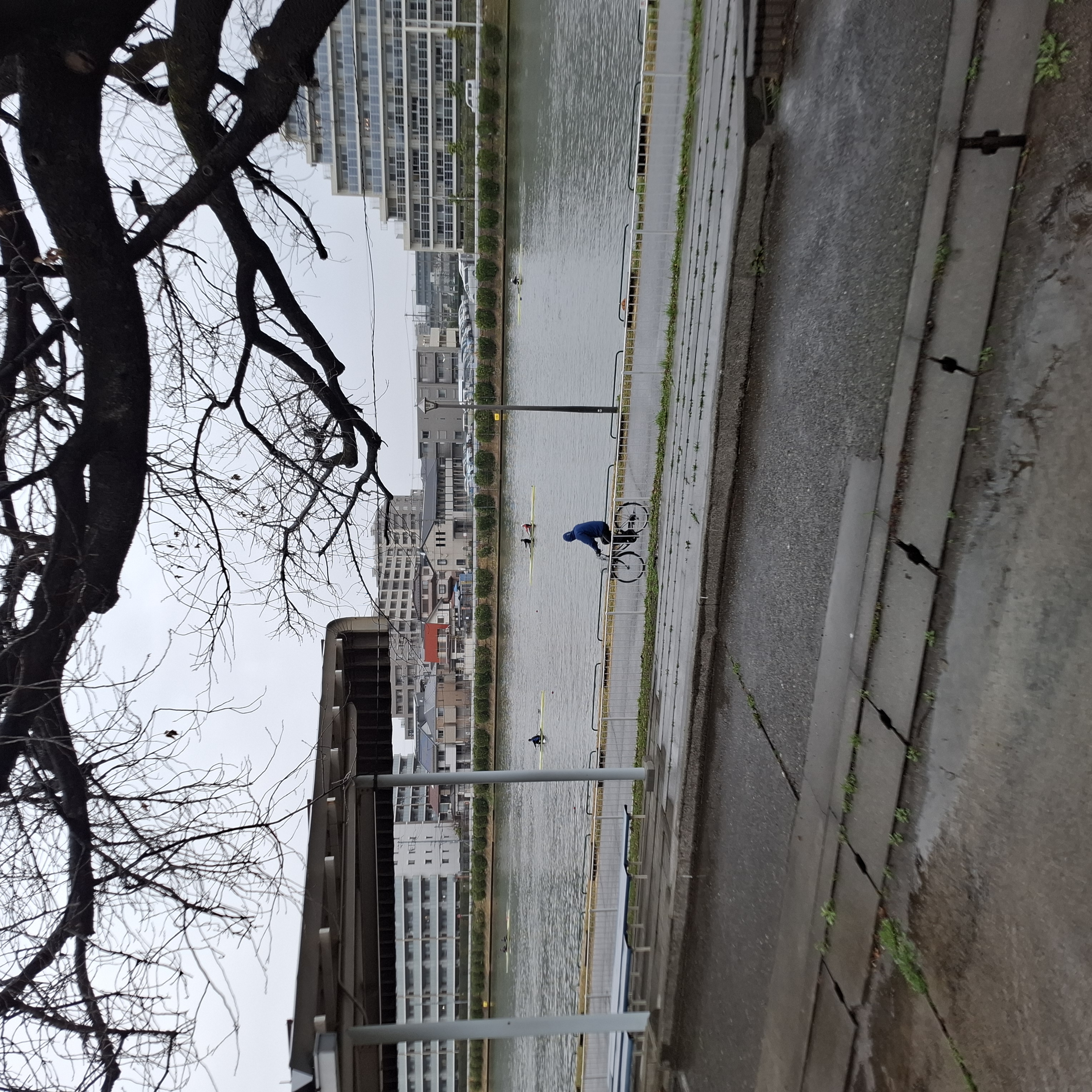 推しを作って楽しむ