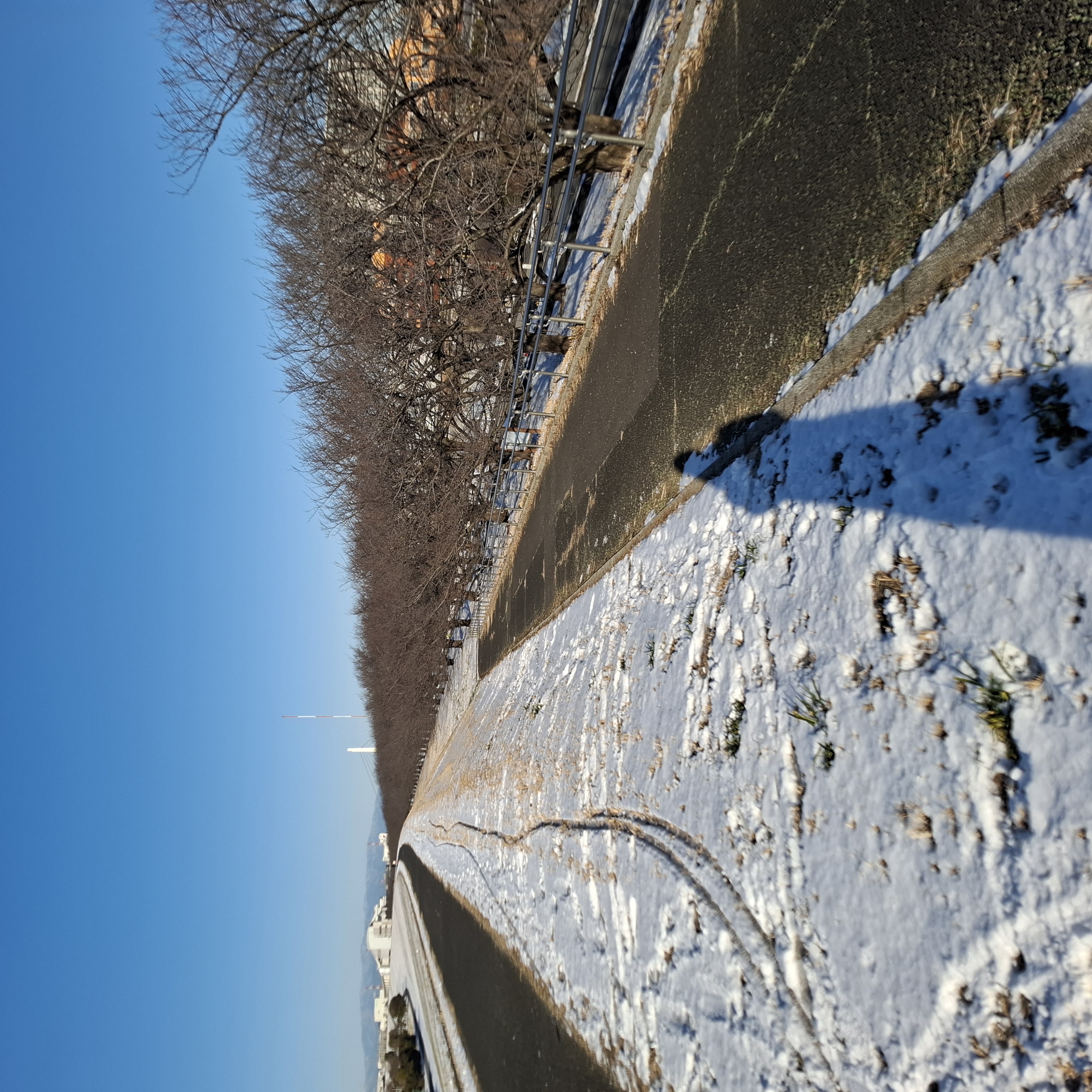 春が待ち遠しい