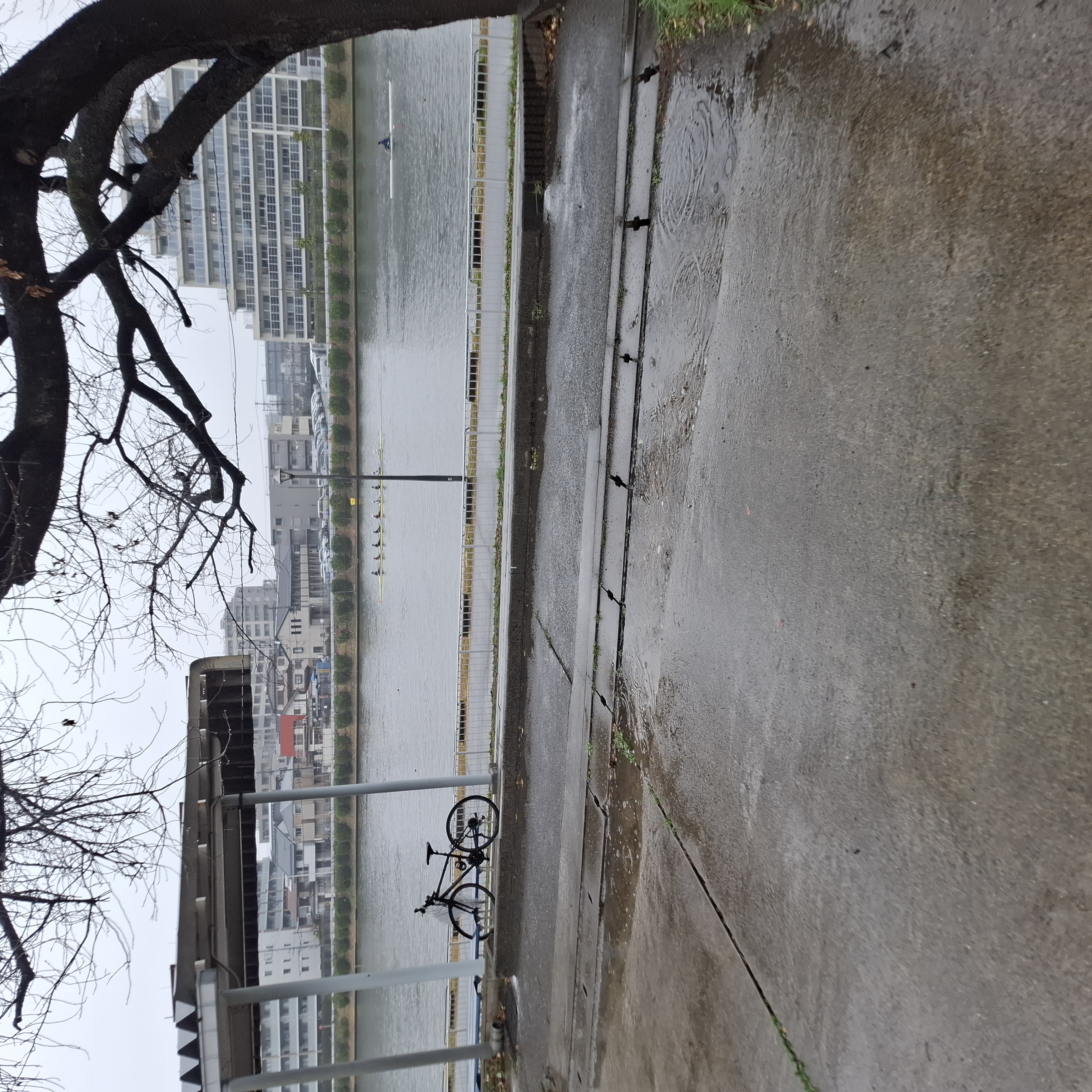 今日のボートコース