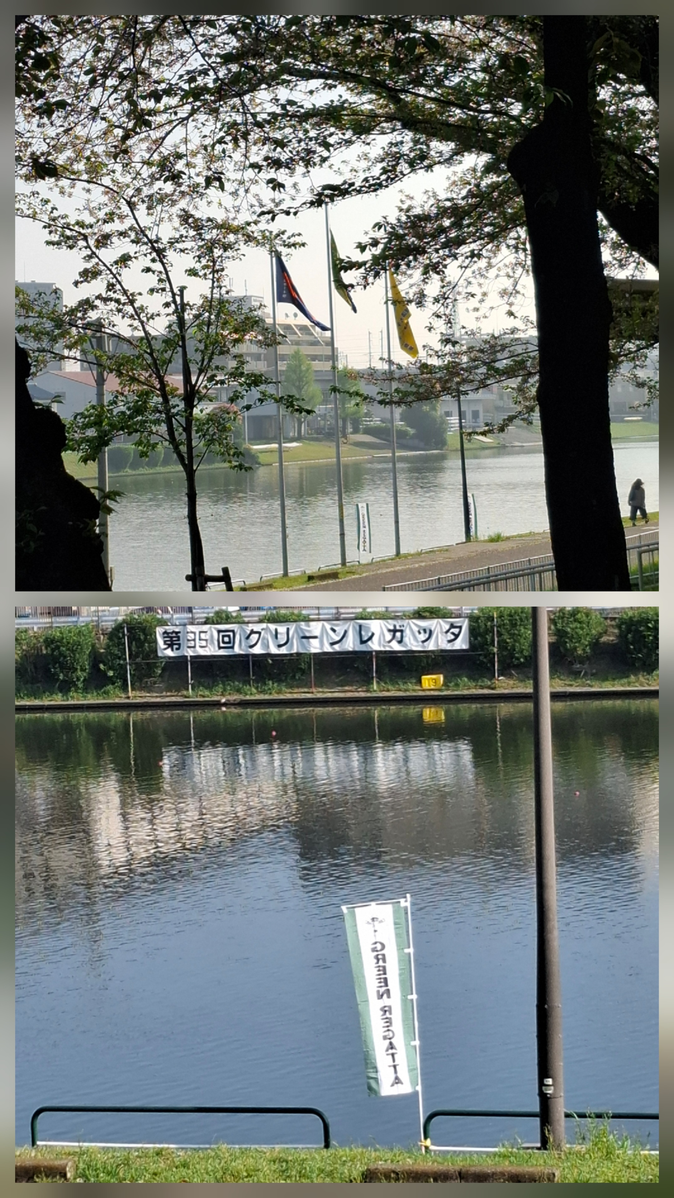 ボートコース　対校戦