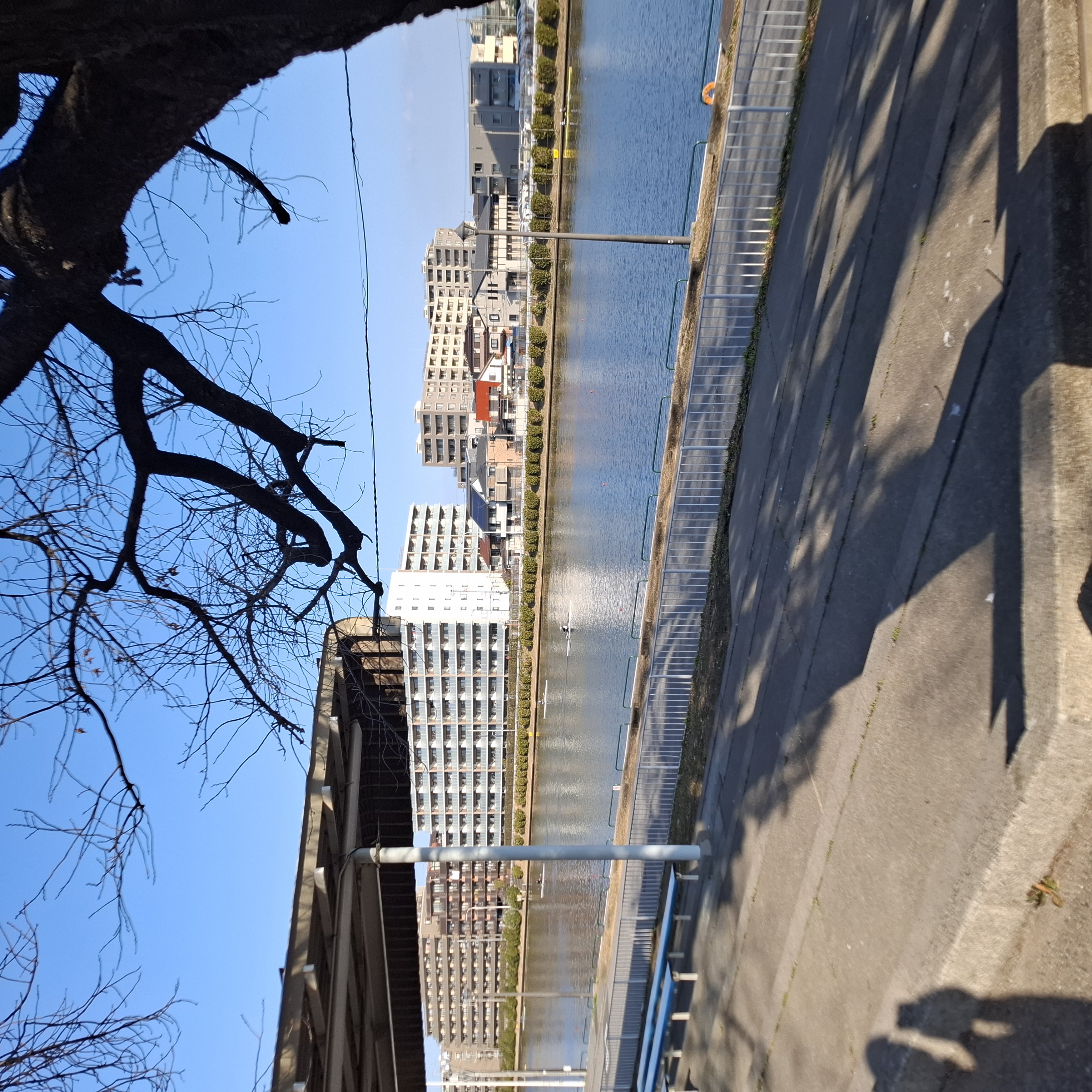 今日のボートコース