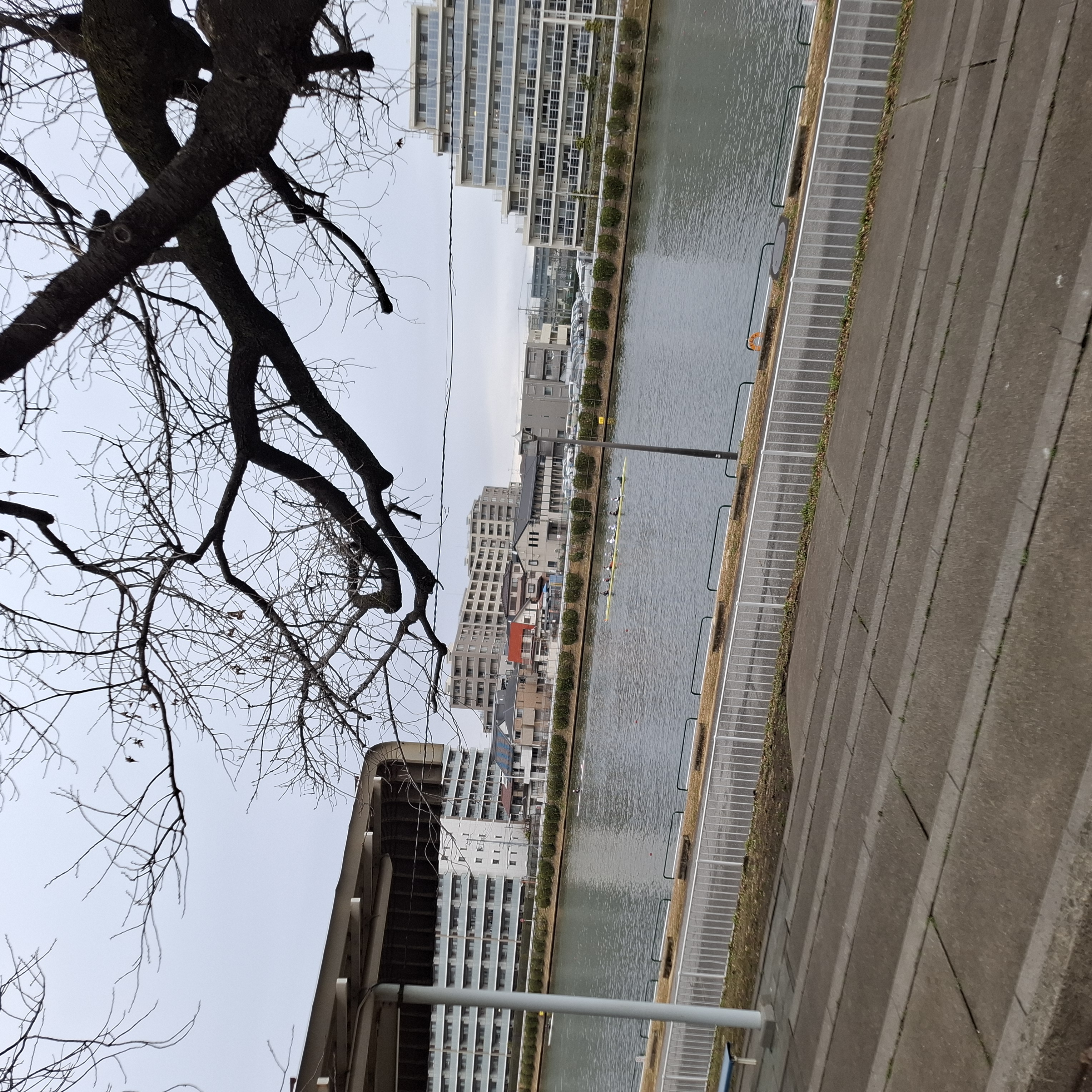 今日のボートコース