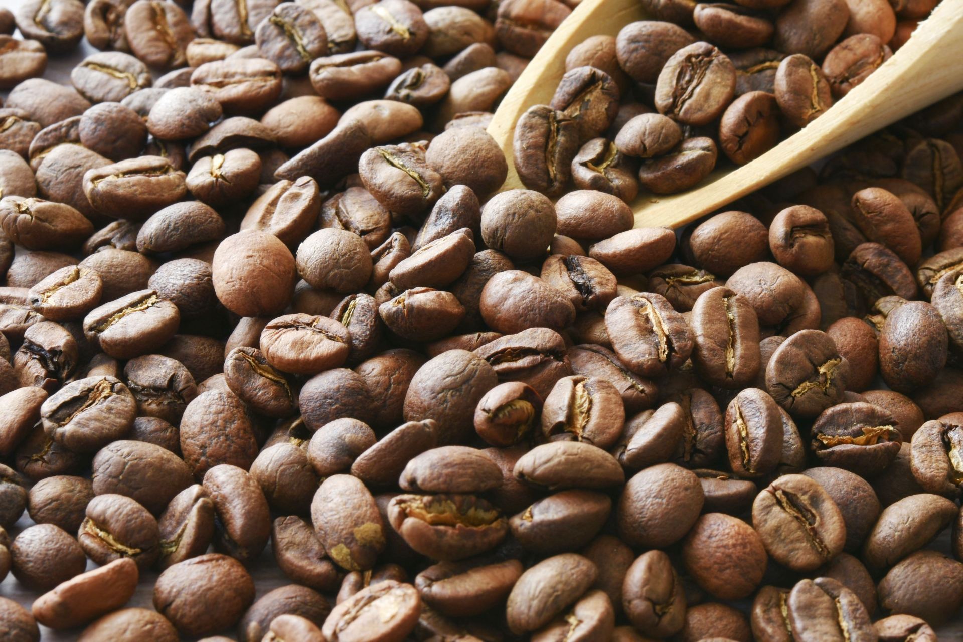 【コーヒー豆の呼び名】「シングルオリジン」と「ストレート豆」は何が違う?