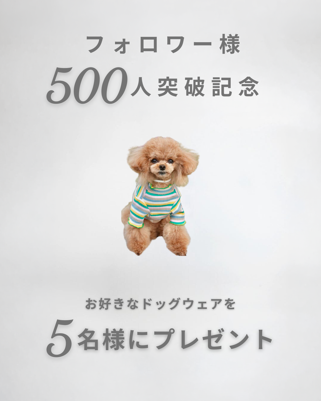 フォロワー様500人突破記念♡ プレゼント企画🎁
