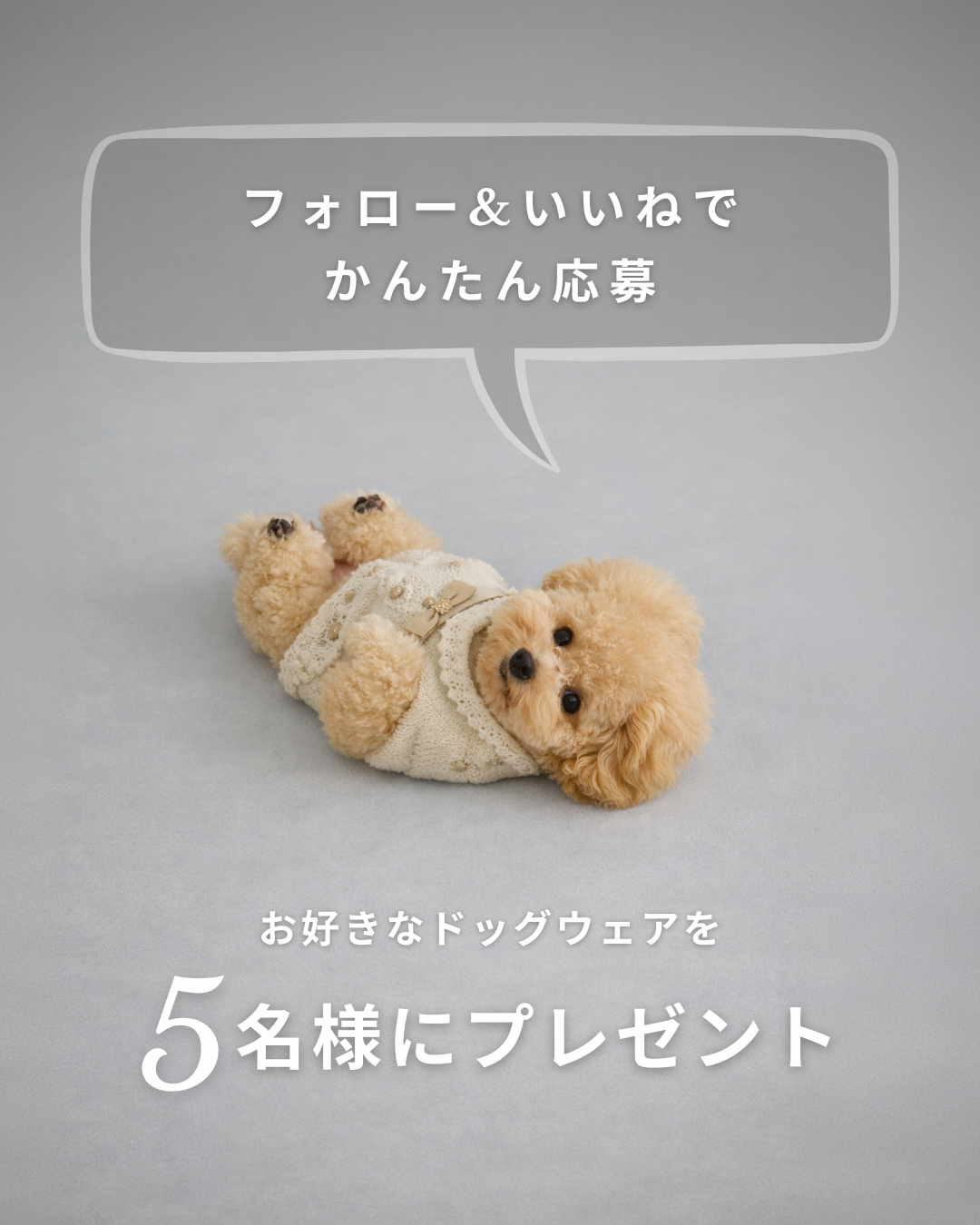 🎁Open記念プレゼント企画🎁