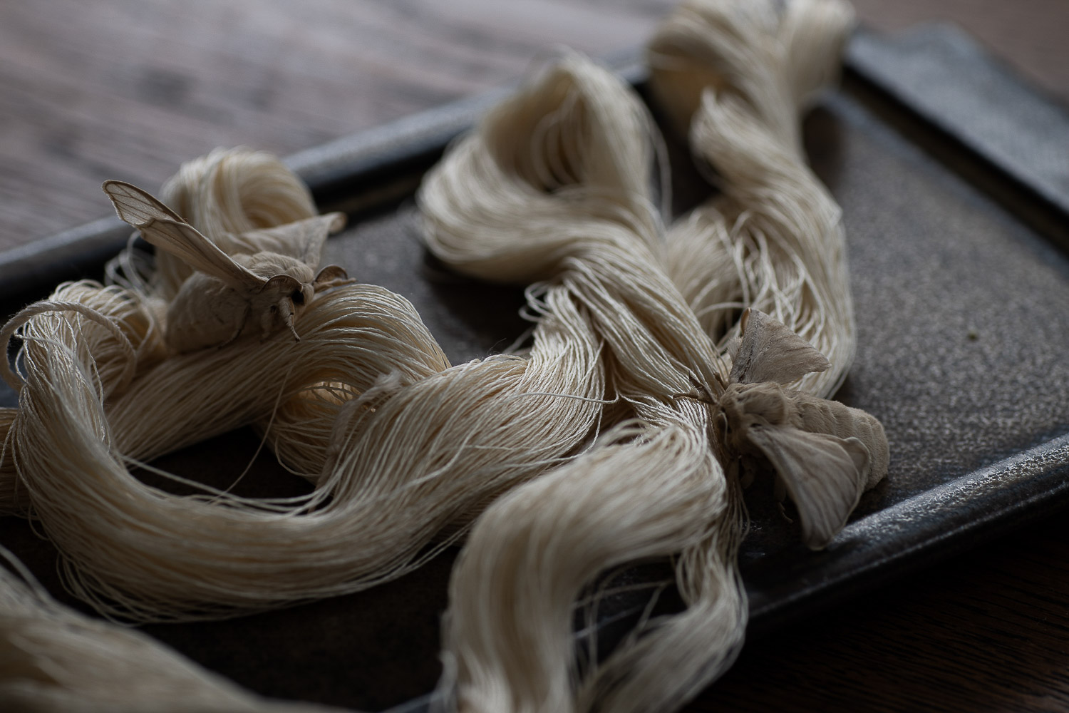 蚕の羽化後に紡がれる糸 / Ahimsa Silk