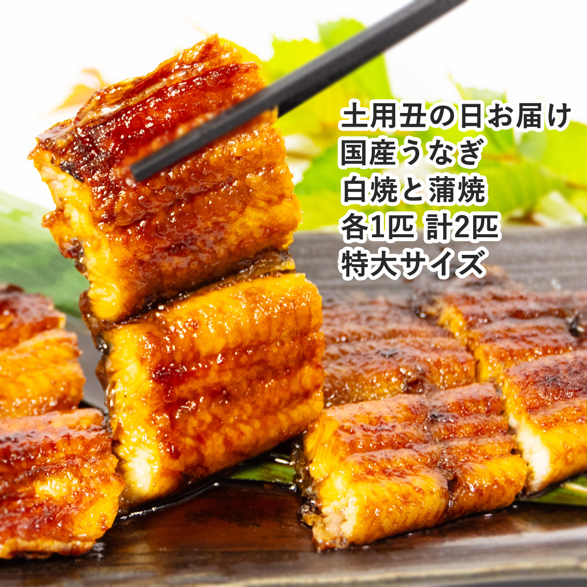 お得なセット 土用丑の日 鰻の蒲焼きと白焼き 2026年7月25日または26日にお届け!