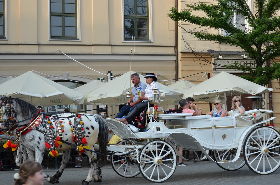全ての始まり〜・・・ポーランド編　29