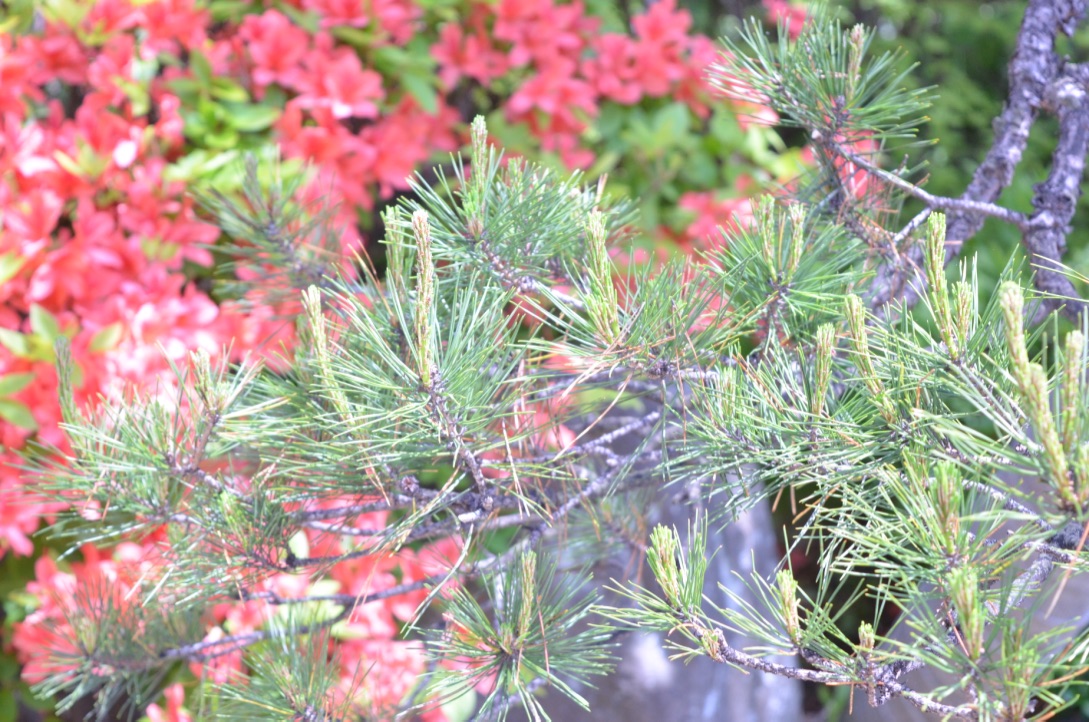 blogの更新が不定期に・・・ごめんなさい！