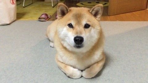 秋といえば・・・🍁