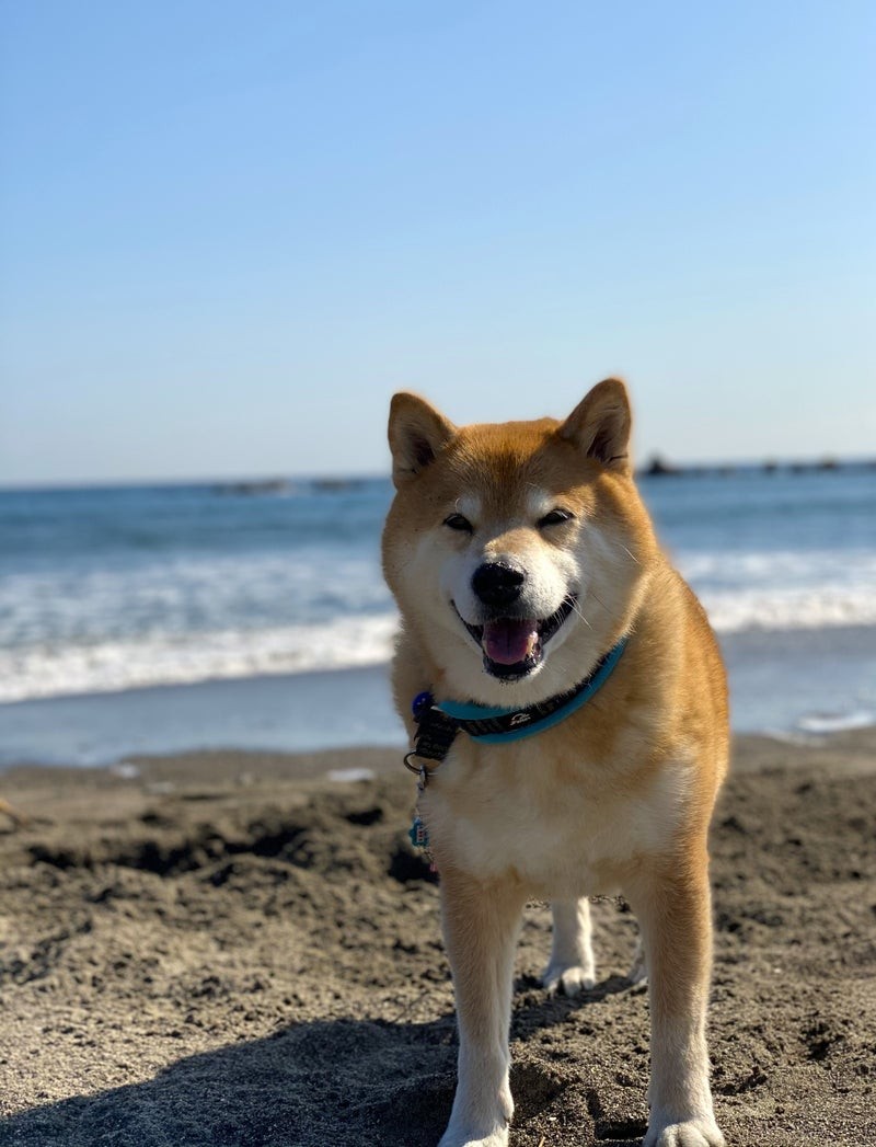 夏旅!楽しいんだけど・・ご用心!