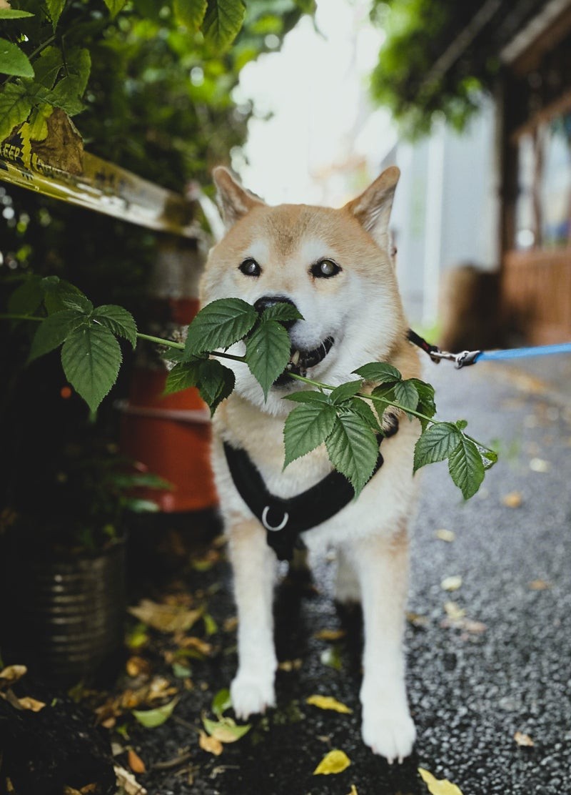 夏が来る~!!!~スタッフ徒然~