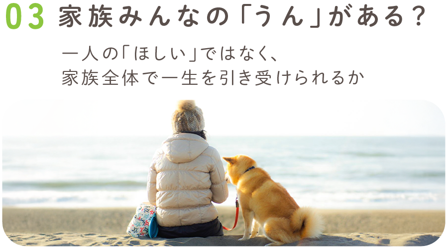 03.家族みんなの「うん」がある?【動物愛護強化月間】