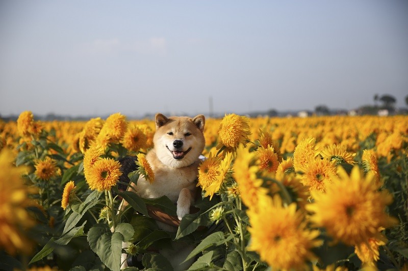 今年もいい夏でした♬