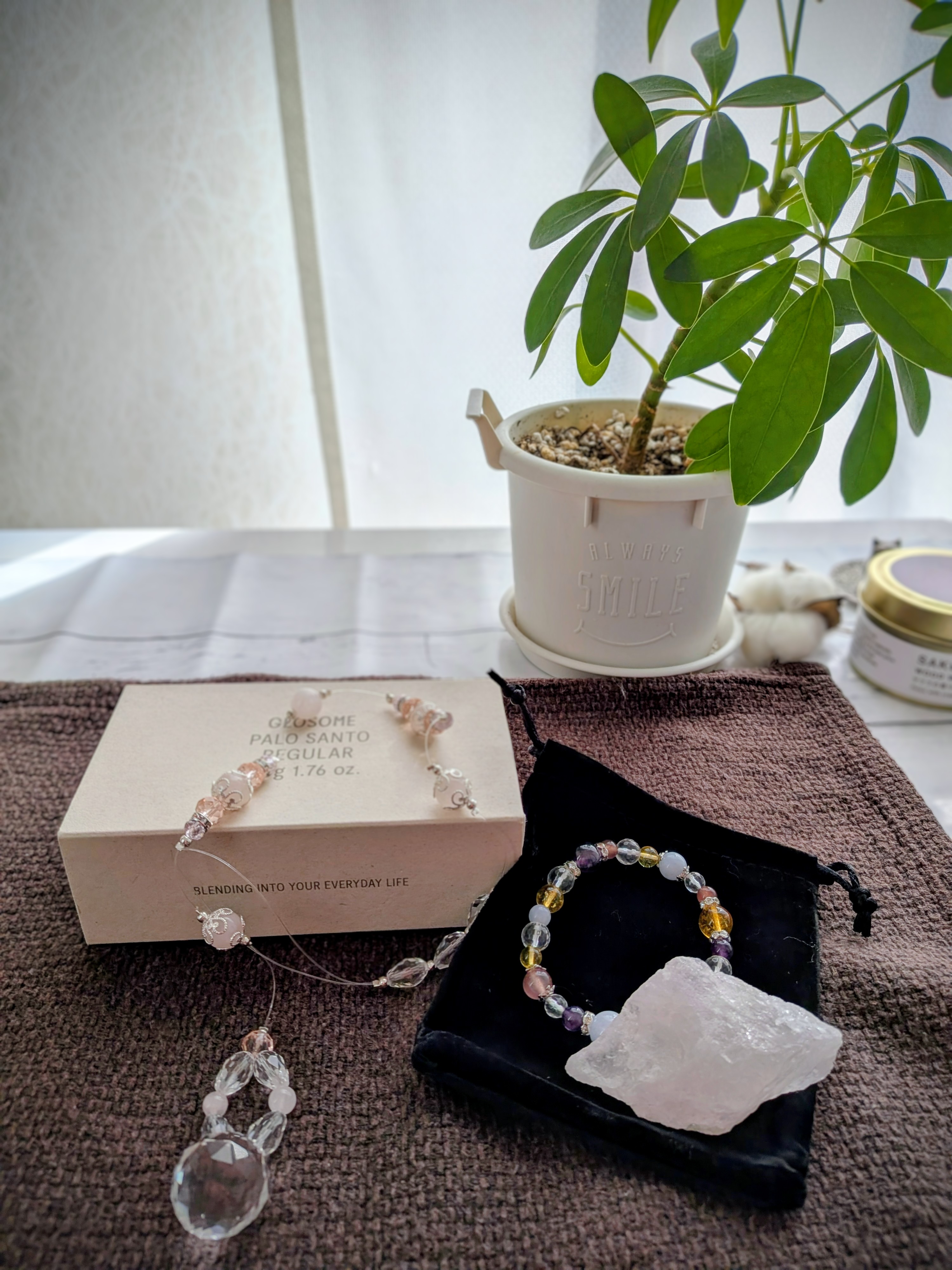 NaturalroomsForest🌿オープン記念限定セット販売します✨️