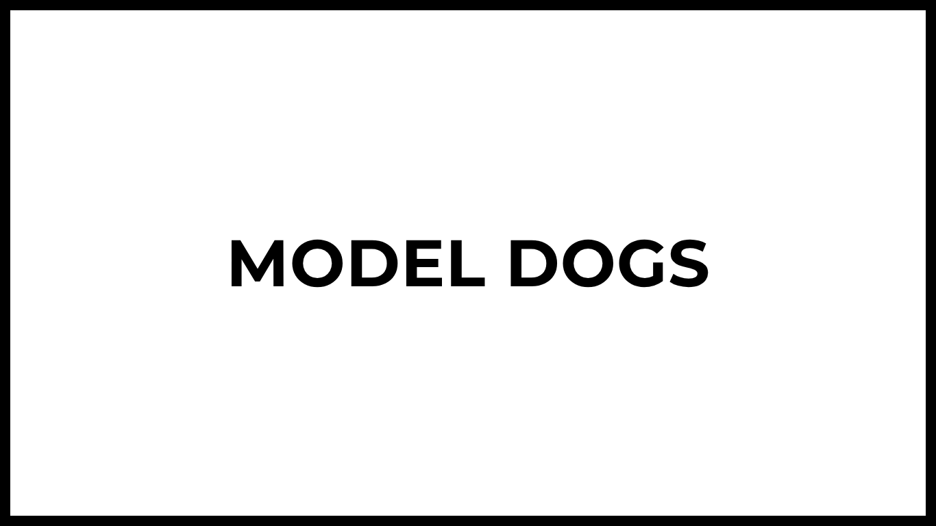 MODEL DOGS
