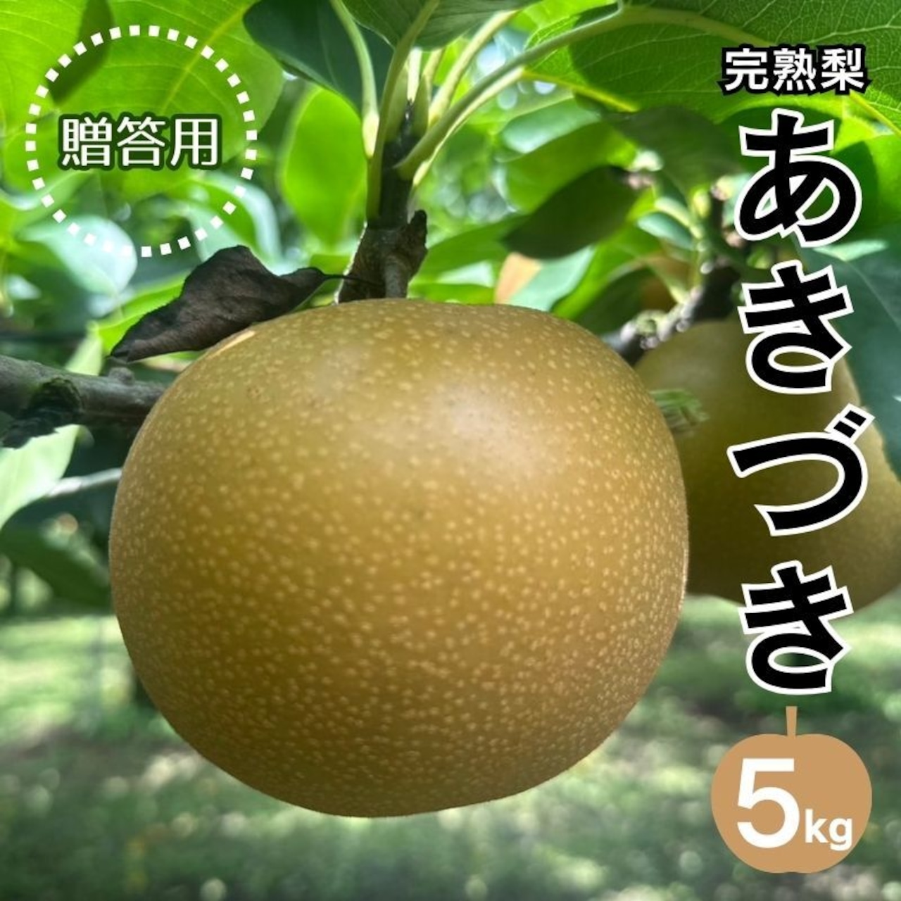 《完売御礼》「完熟梨豊水」「完熟梨あきづき」