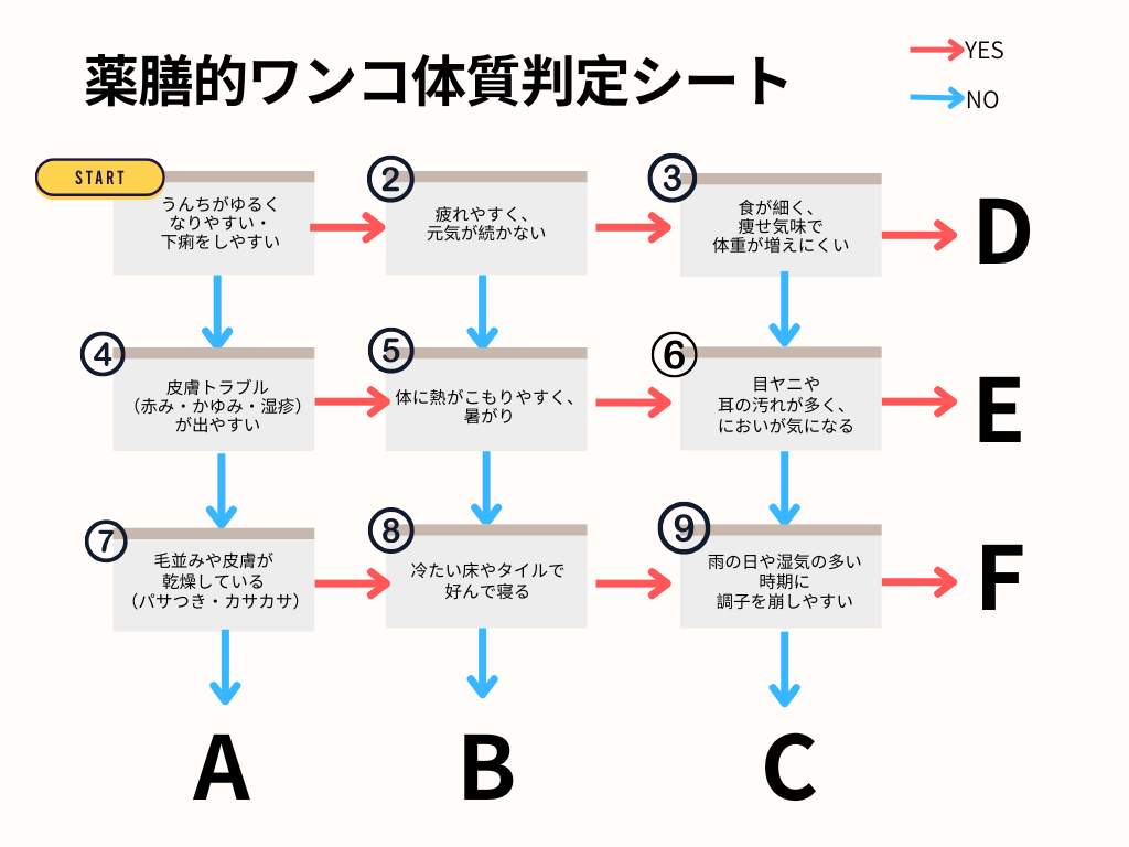 ごはん・おやつ選び、迷っていませんか？9つの質問でわかります