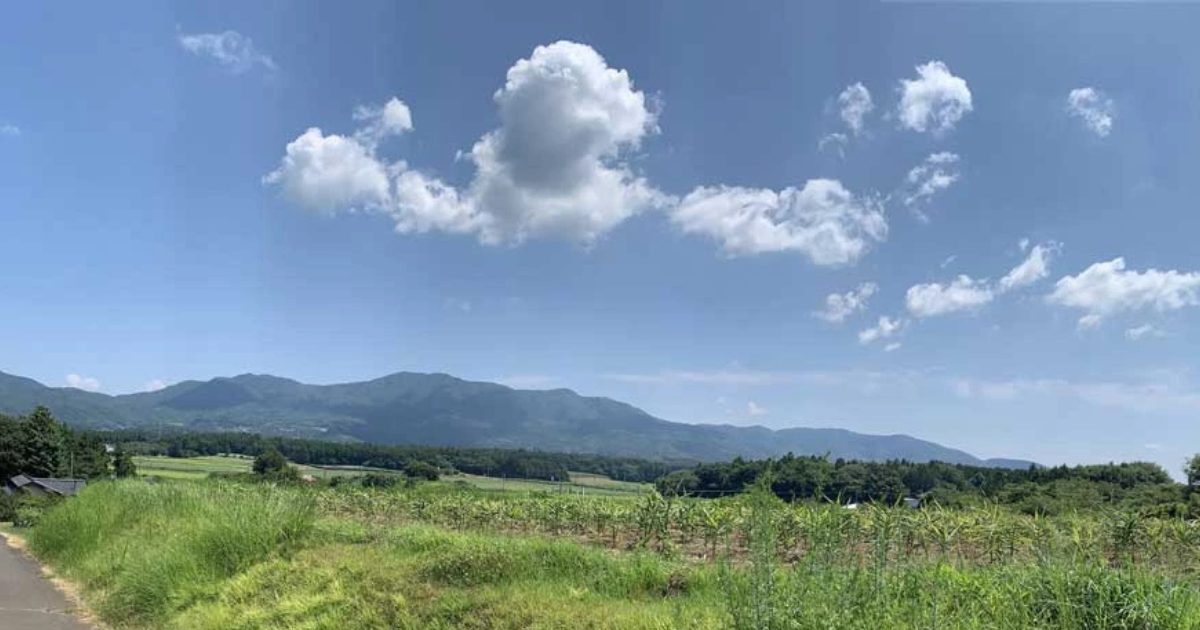 「土づくり」という名の迷路で迷子になる