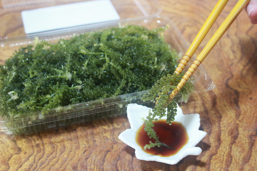 調味料いらずの隠し味。生産者一押し「海ぶどうの出し巻き卵」と美味しい食べ方