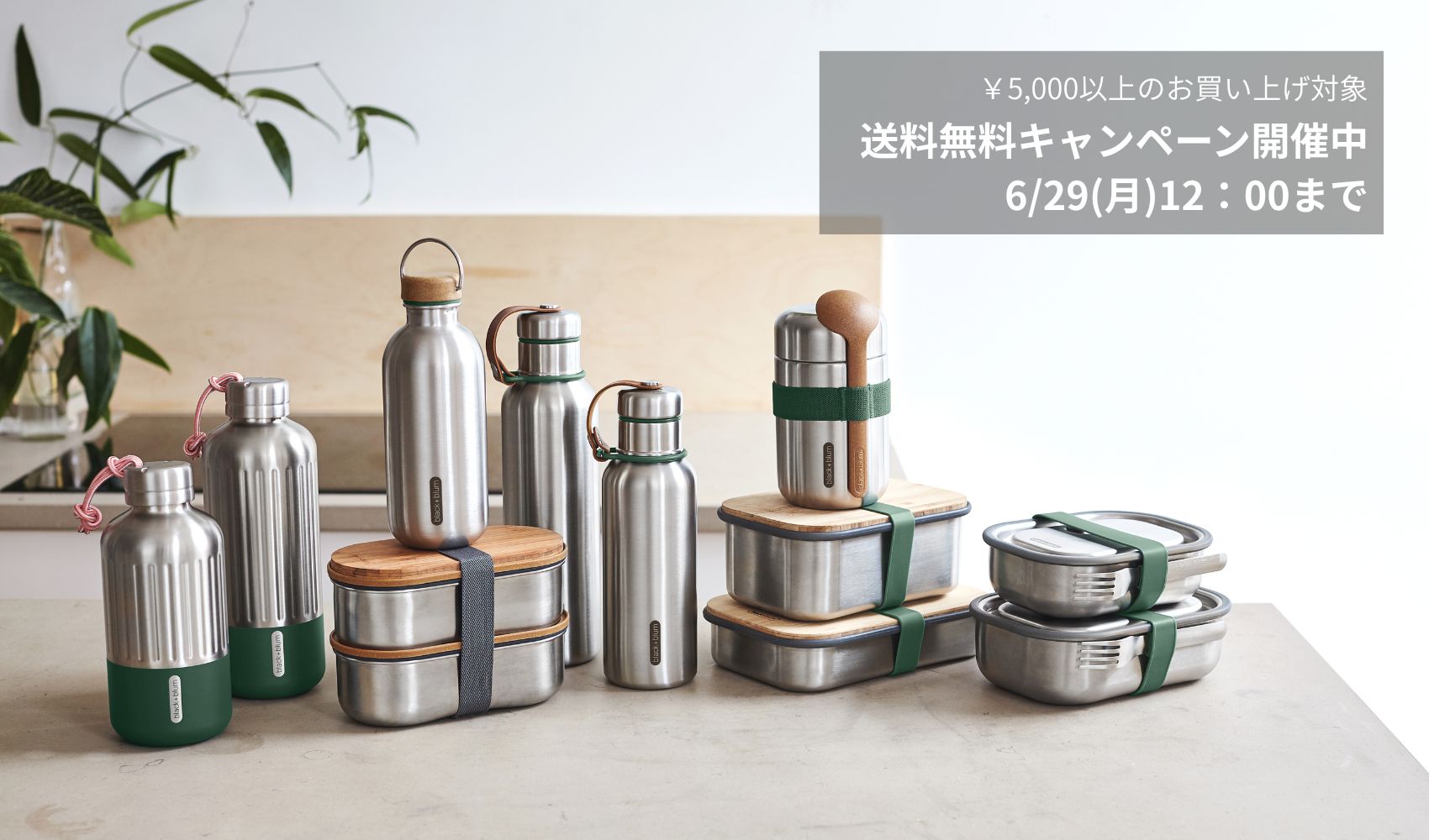 📣送料無料キャンペーン開催！6/29(月)12:00まで