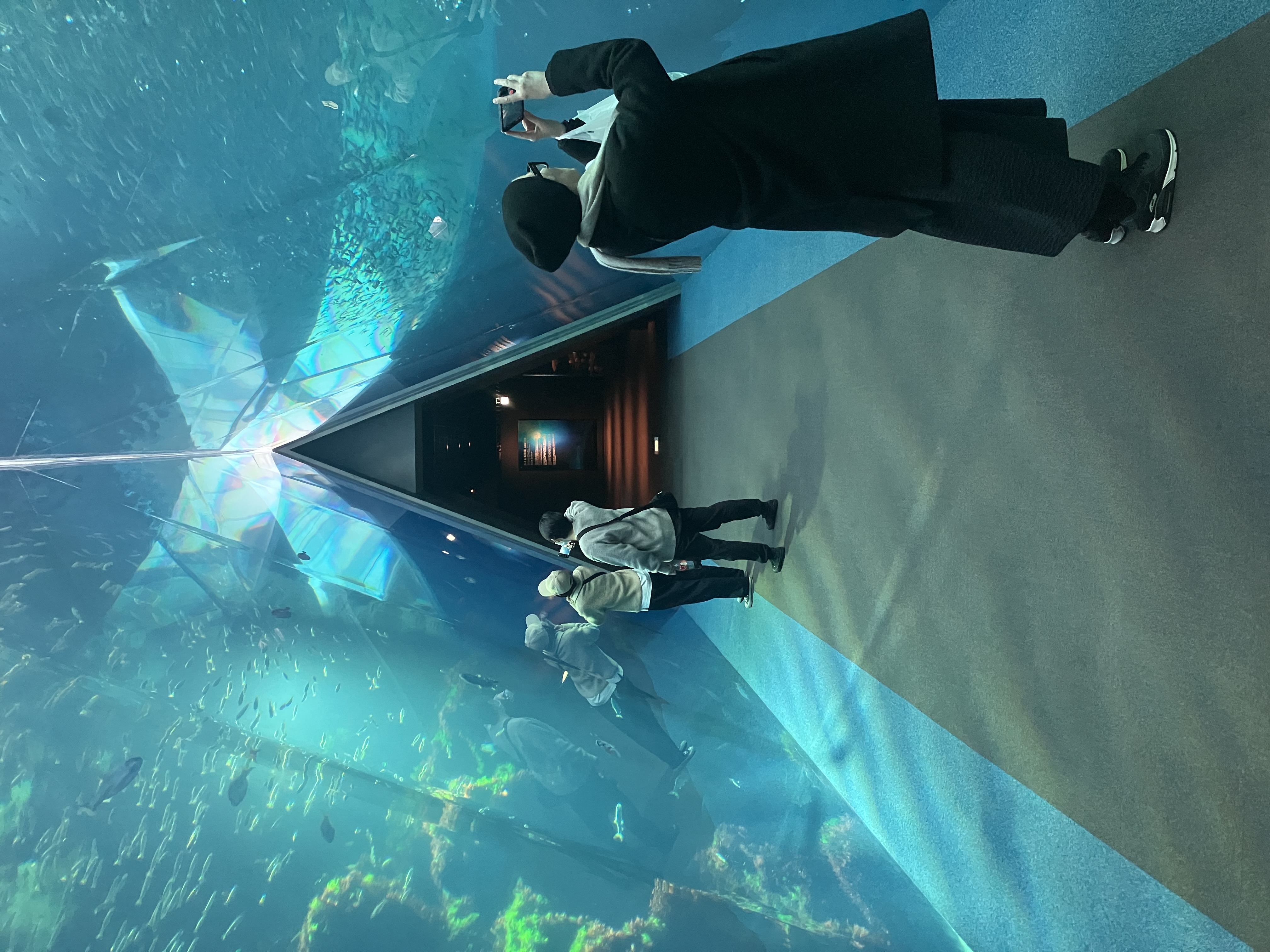 年末年始のSale始まっています👘